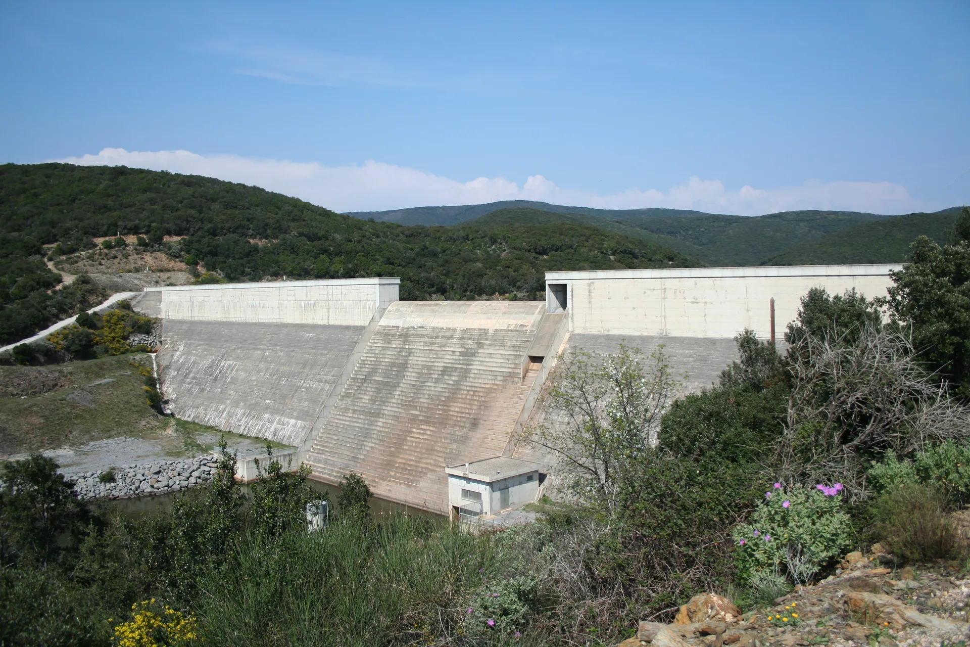 Lac des Olivettes à Vailhan — À 333 m du lac