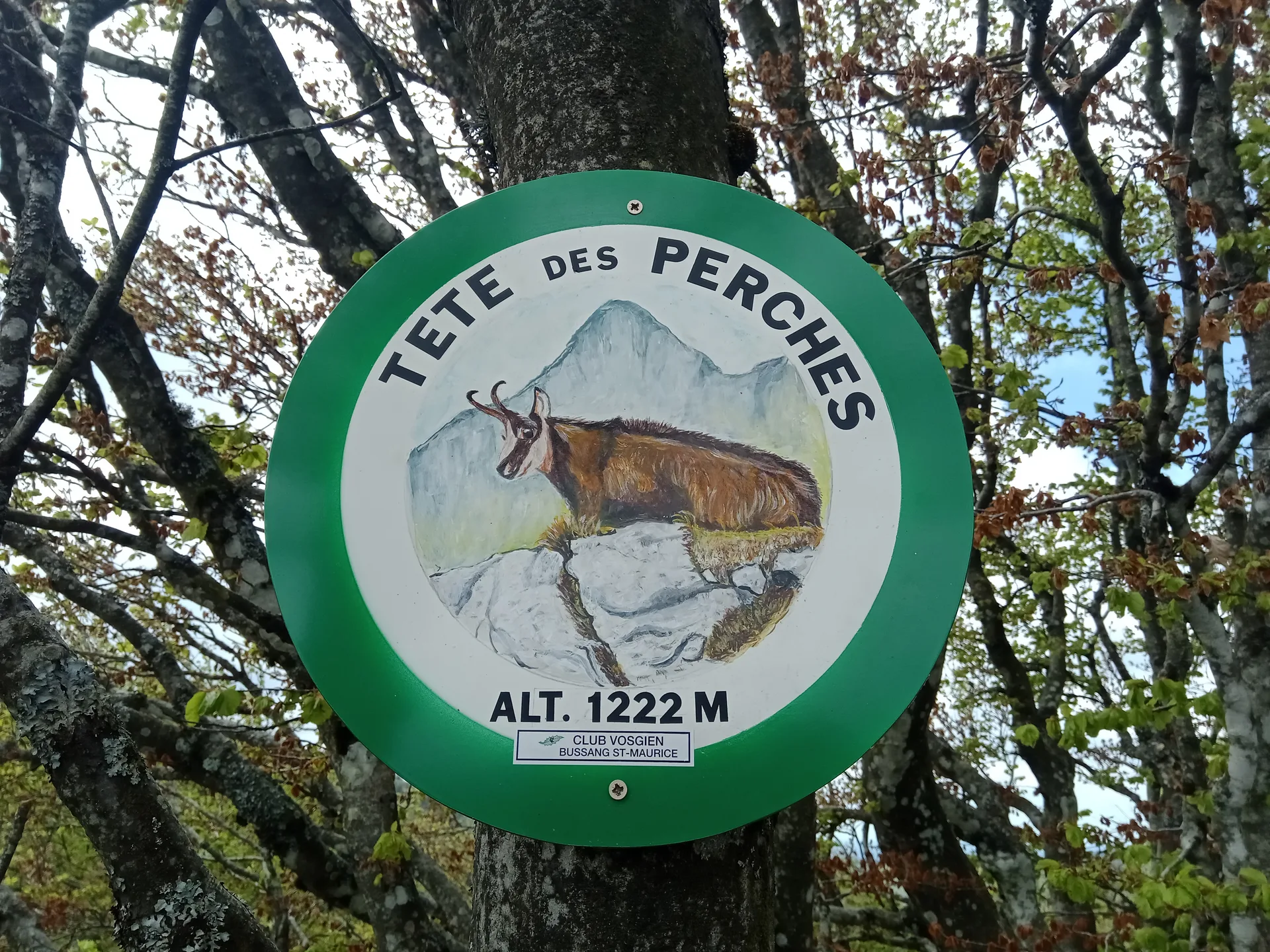 Lac des Perches à Rimbach-près-Masevaux — À 501 m du lac
