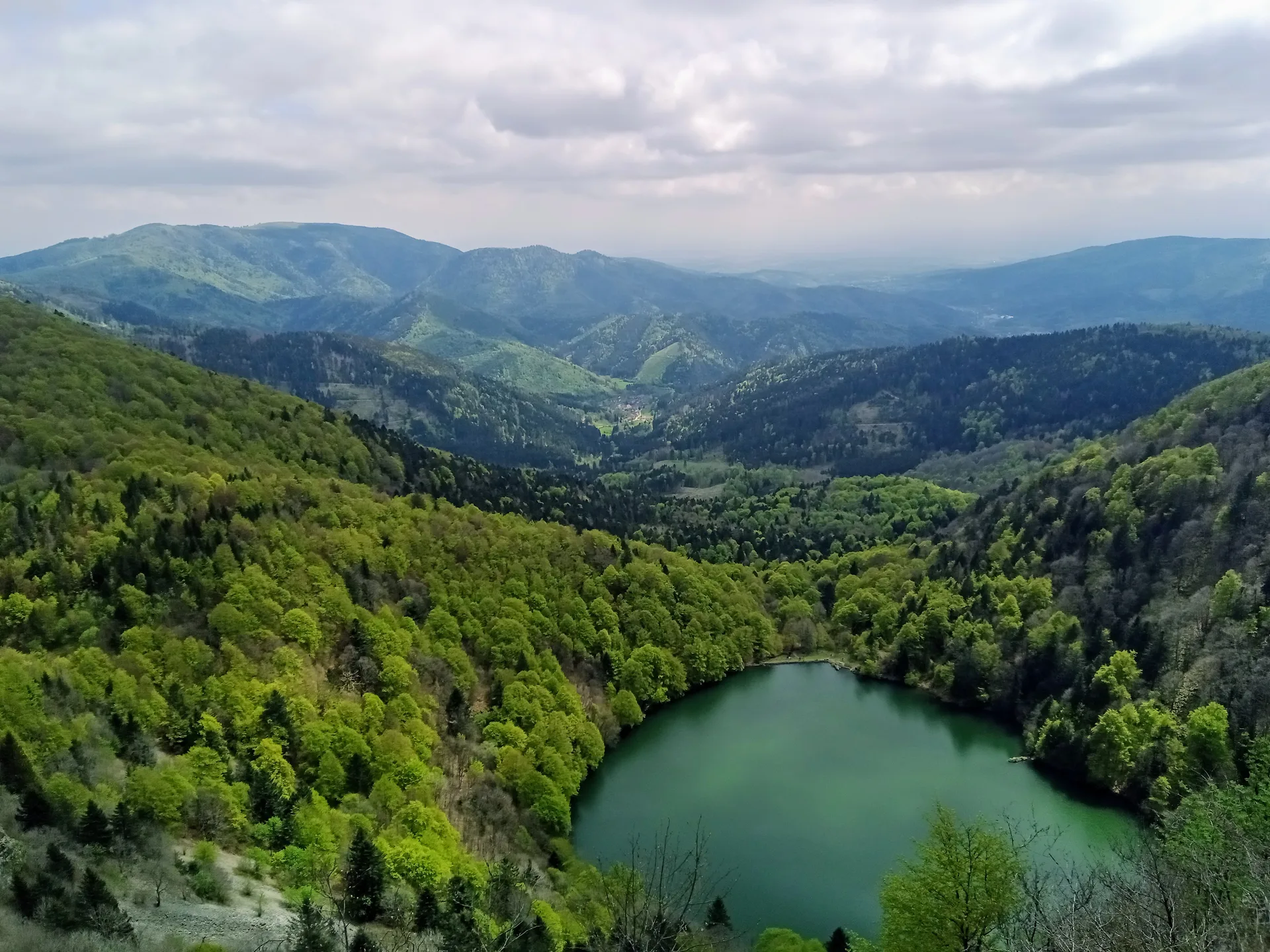 Lac des Perches à Rimbach-près-Masevaux — À 501 m du lac