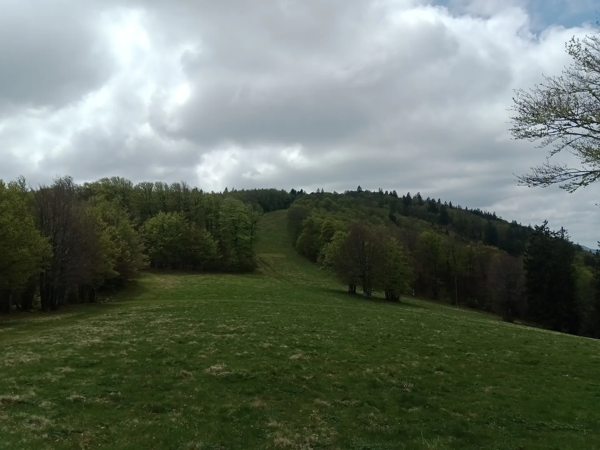Lac des Perches à Rimbach-près-Masevaux — À 572 m du lac