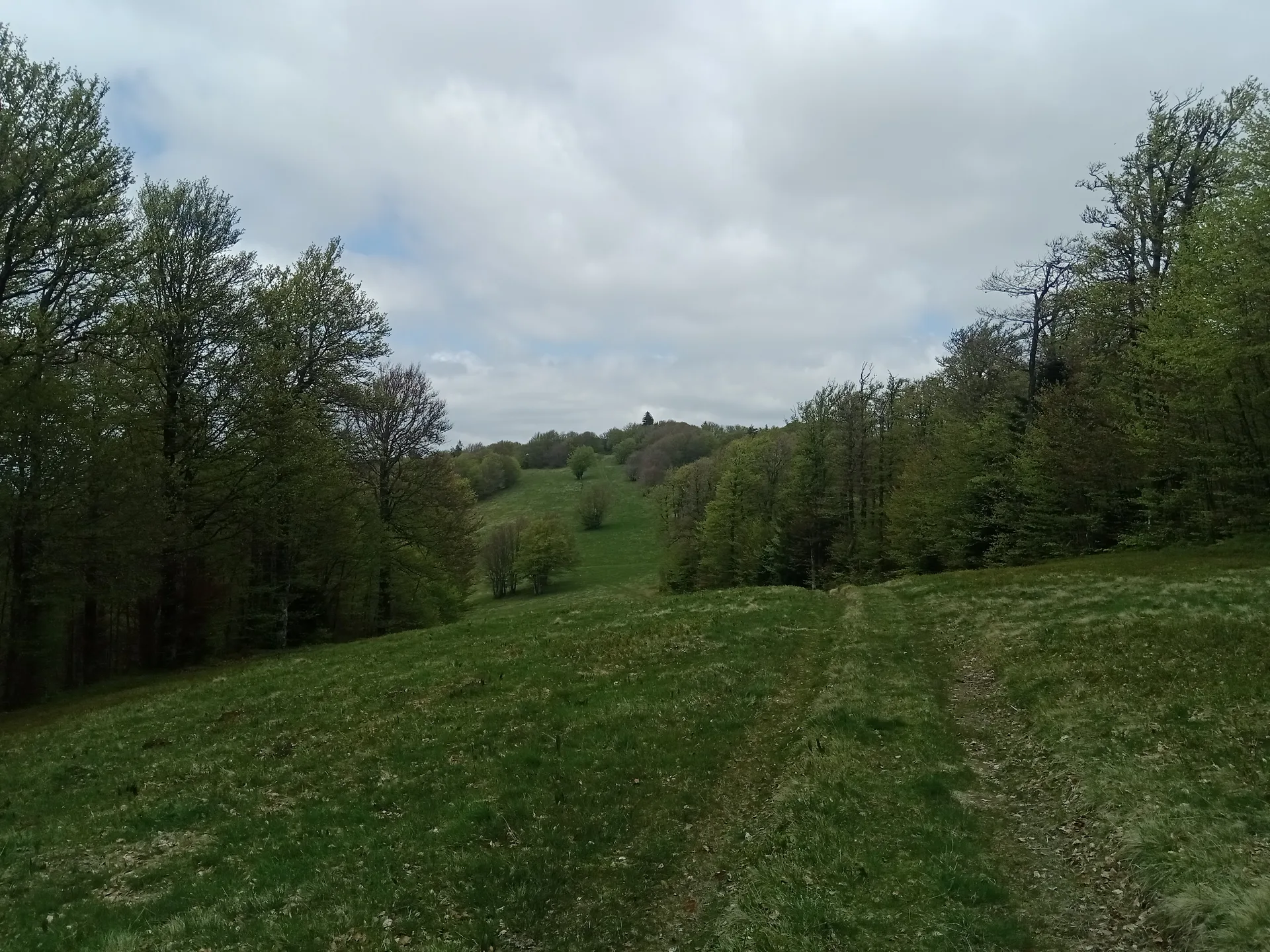 Lac des Perches à Rimbach-près-Masevaux — À 634 m du lac