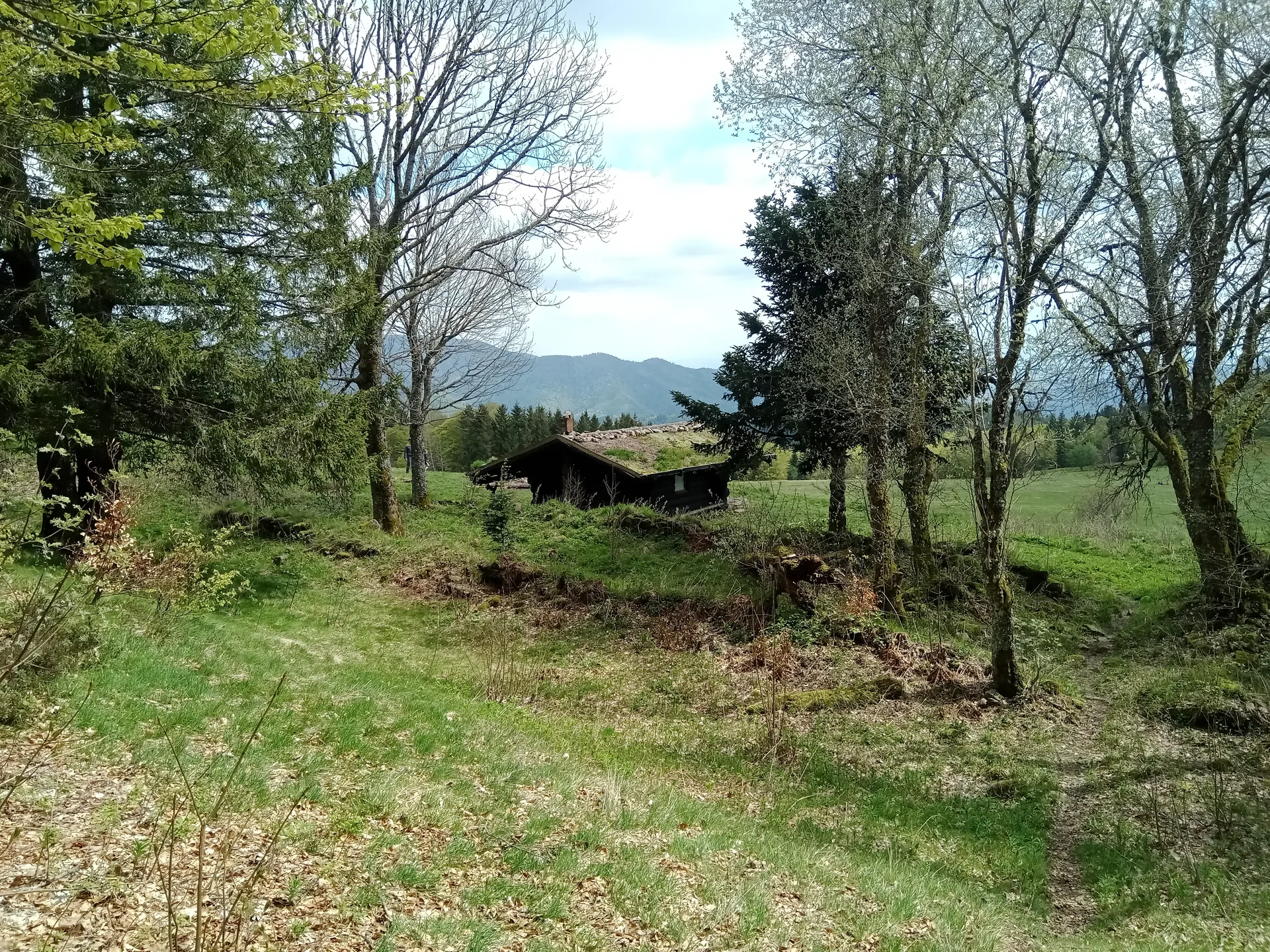 Lac des Perches à Rimbach-près-Masevaux — À 706 m du lac