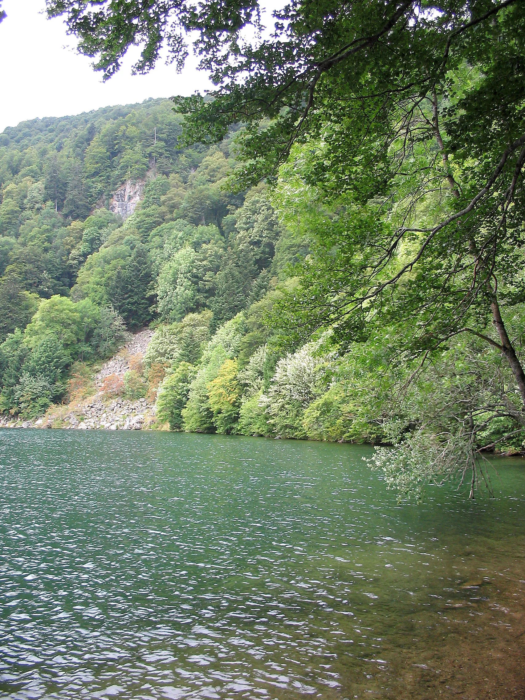 Lac des Perches à Rimbach-près-Masevaux — À 201 m du lac