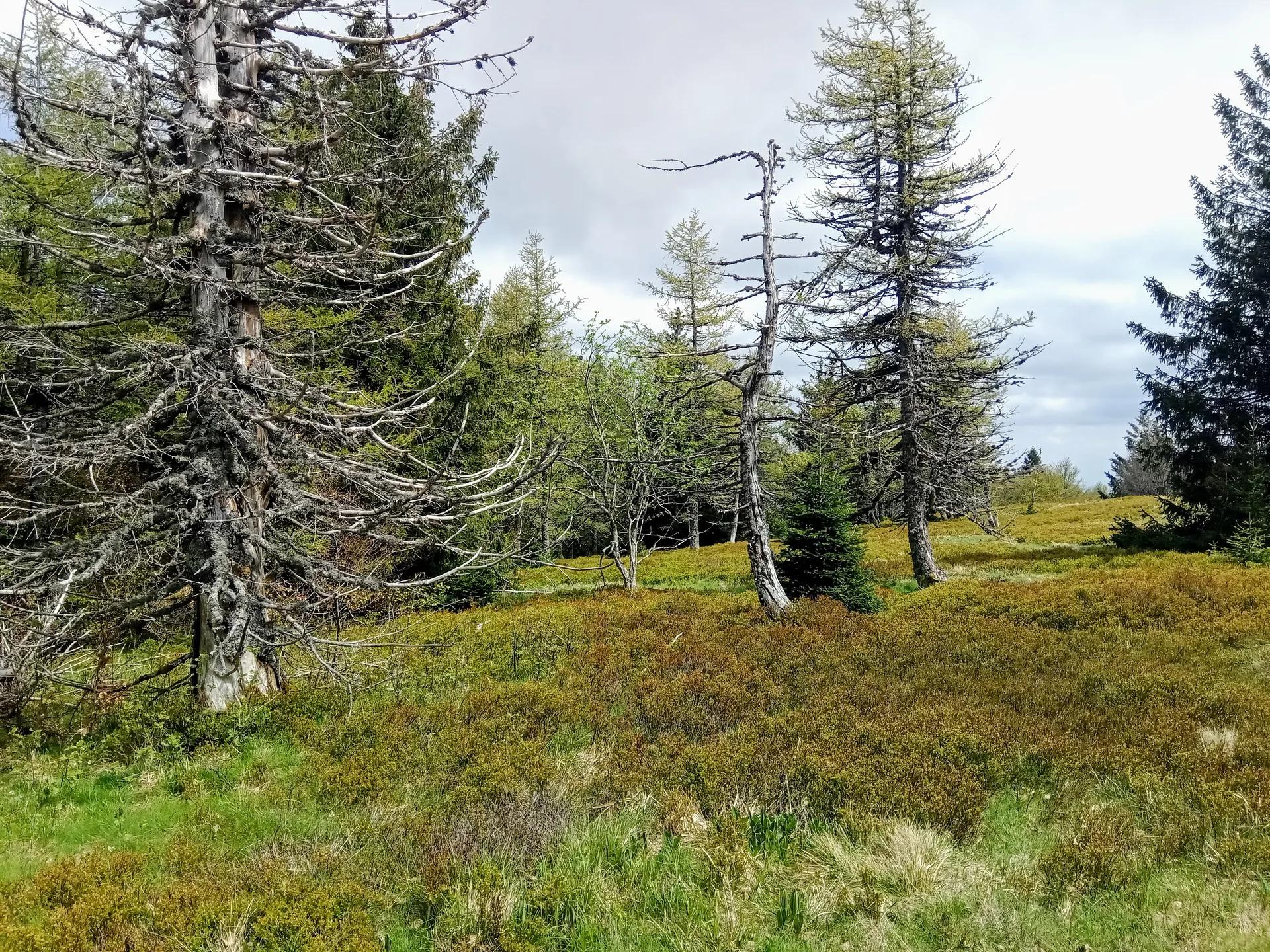 Lac des Perches à Rimbach-près-Masevaux — À 853 m du lac