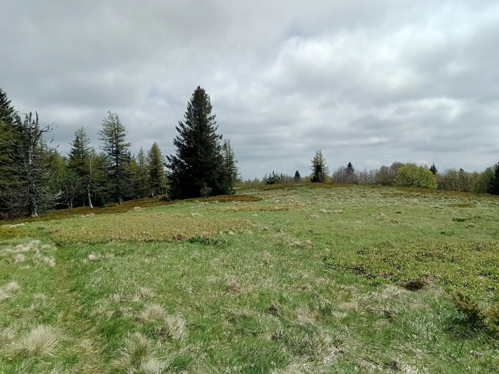 Lac des Perches à Rimbach-près-Masevaux — À 862 m du lac
