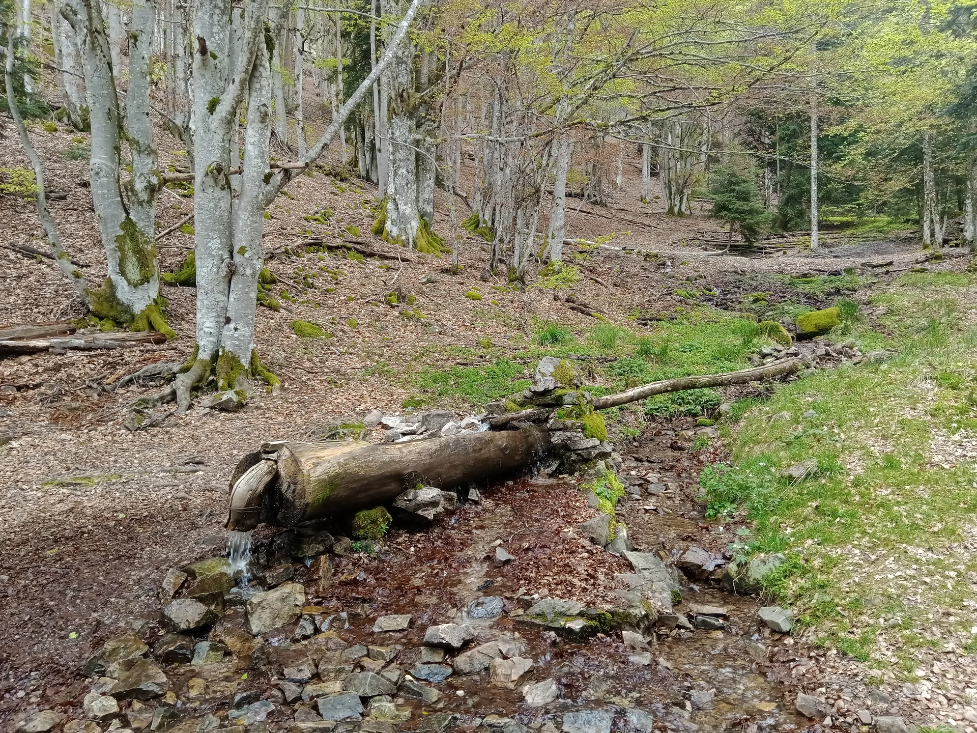 Lac des Perches à Rimbach-près-Masevaux — À 1,2 km du lac