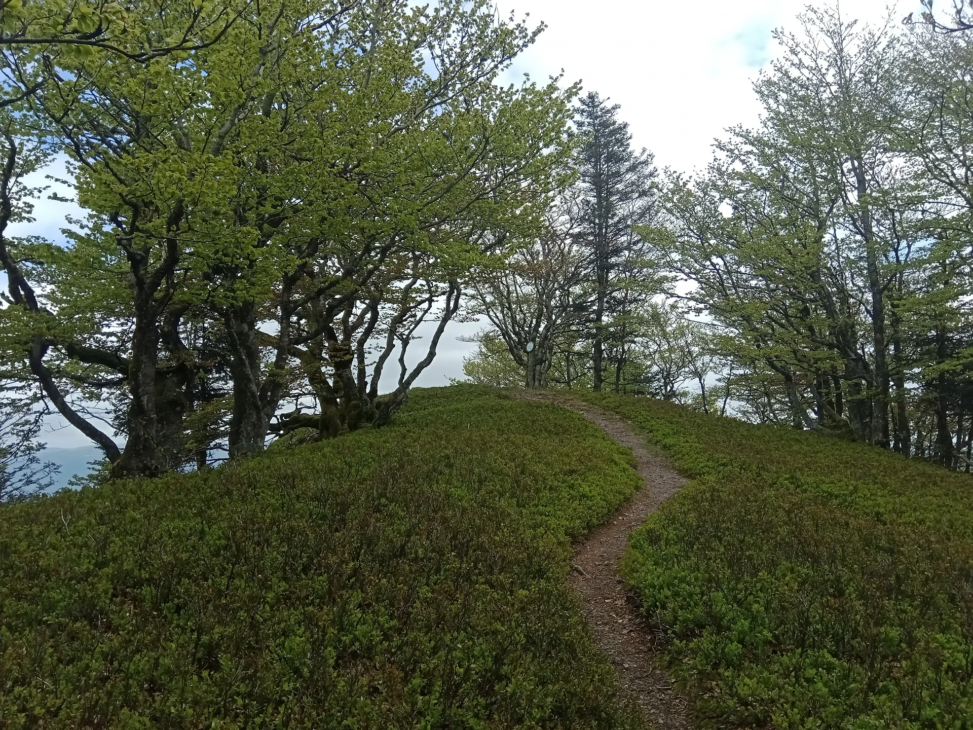 Lac des Perches à Rimbach-près-Masevaux — À 1,4 km du lac