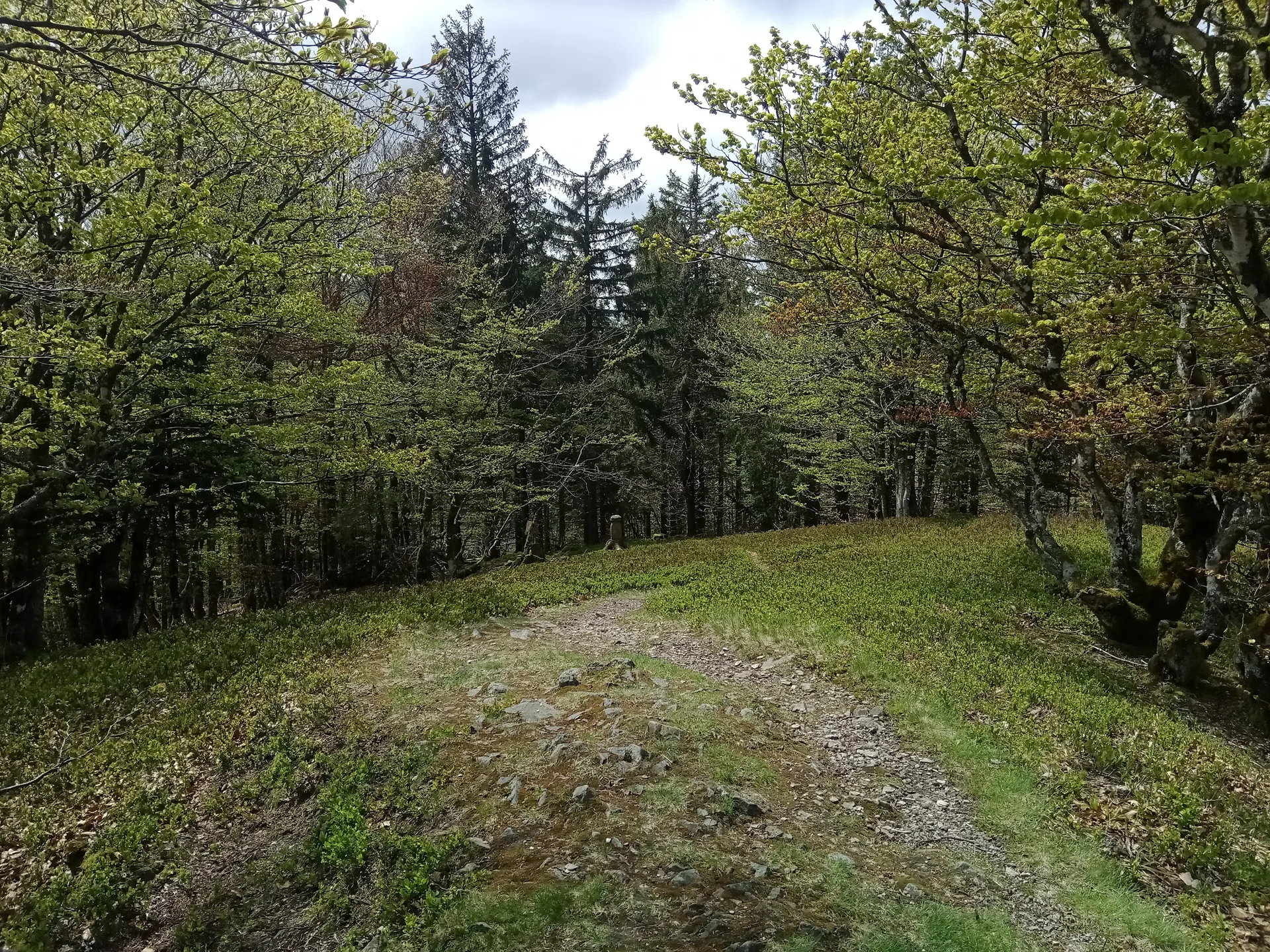 Lac des Perches à Rimbach-près-Masevaux — À 1,5 km du lac