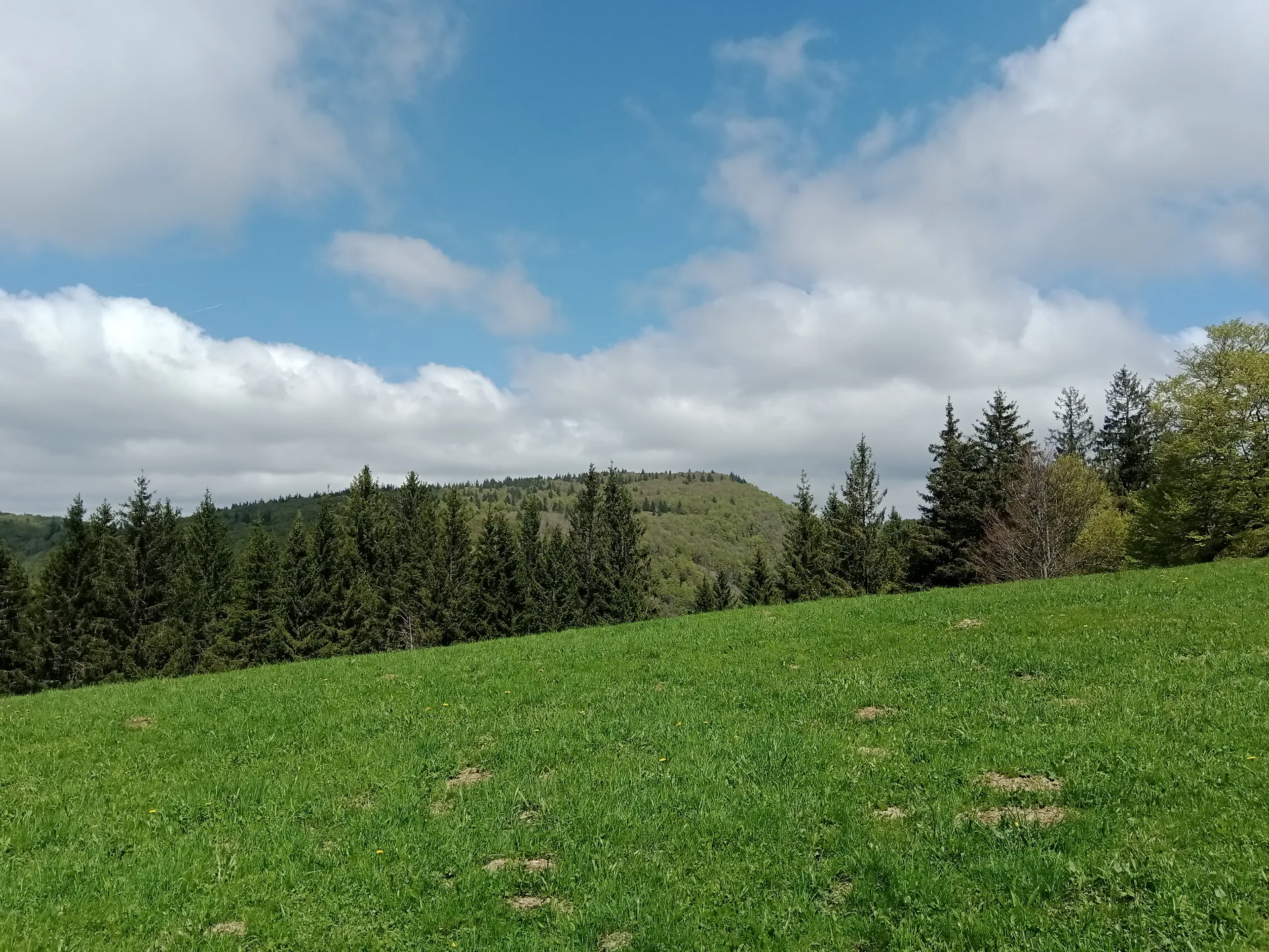 Lac des Perches à Rimbach-près-Masevaux — À 1,8 km du lac