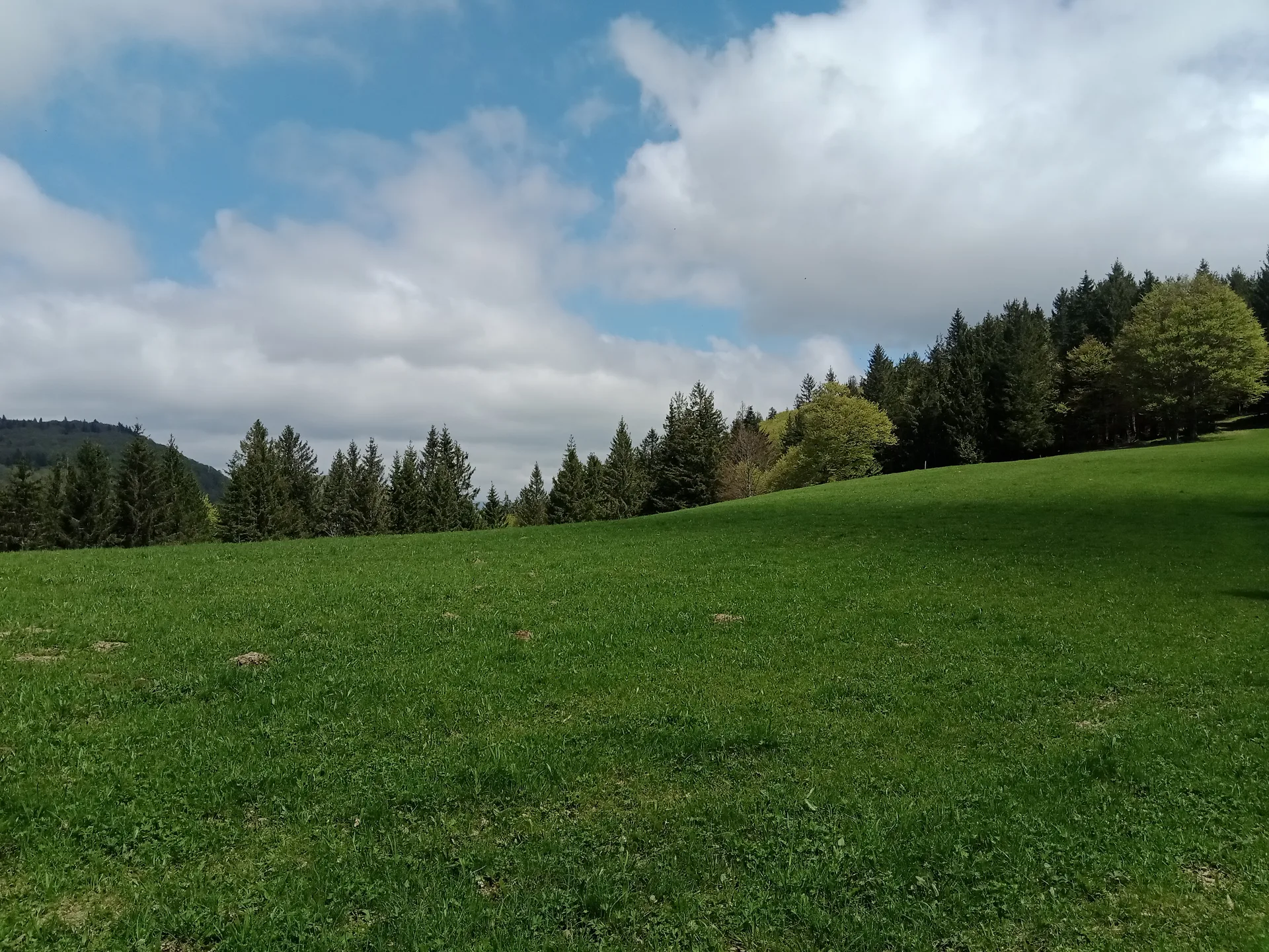 Lac des Perches à Rimbach-près-Masevaux — À 1,8 km du lac