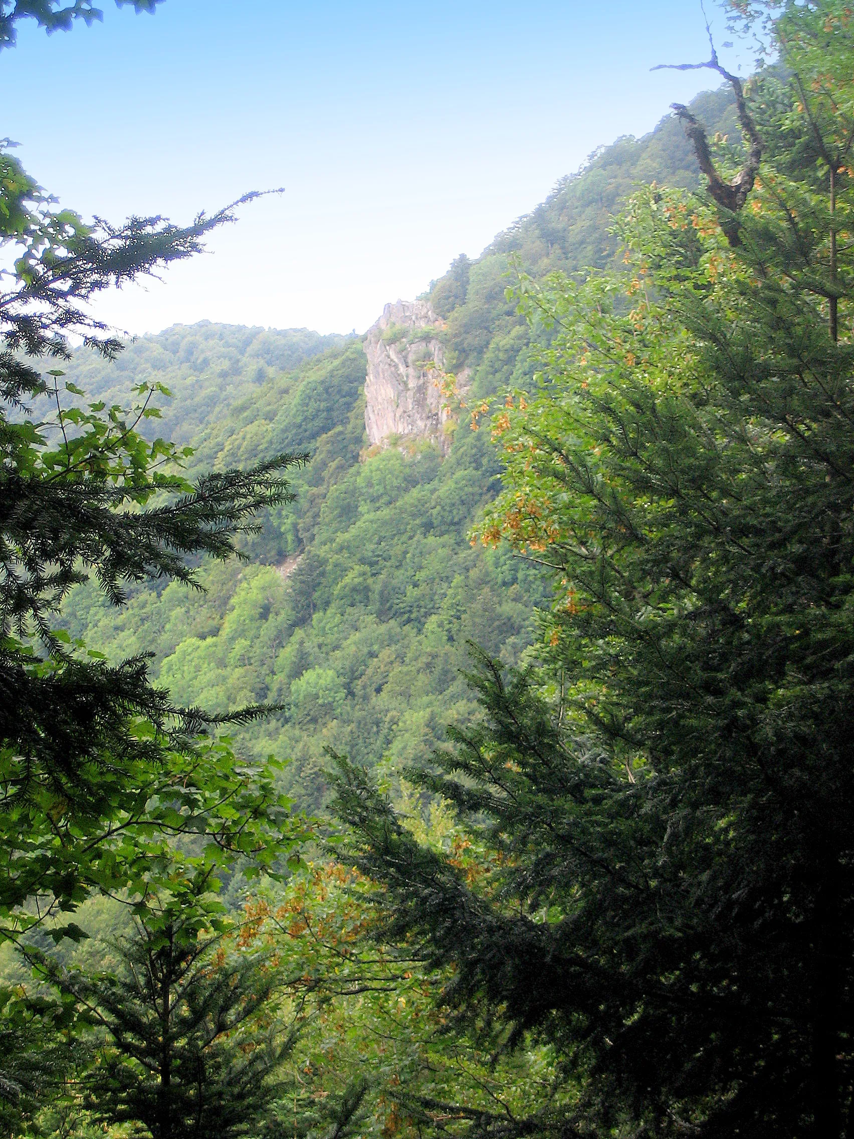 Lac des Perches à Rimbach-près-Masevaux — À 377 m du lac