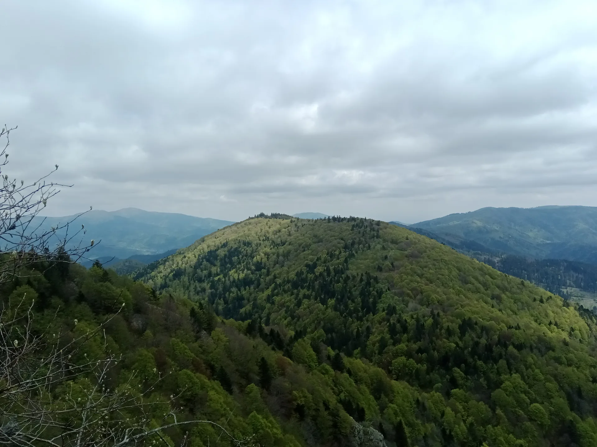 Lac des Perches à Rimbach-près-Masevaux — À 499 m du lac