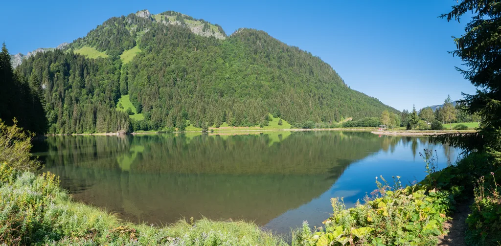 Lac des Plagnes, Abondance