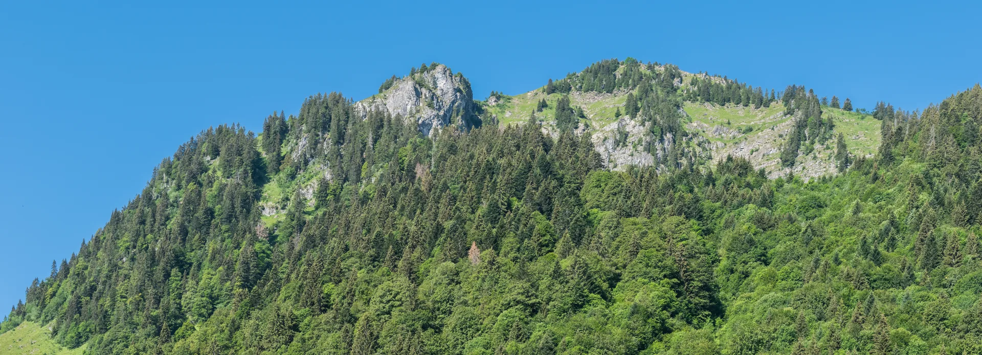 Lac des Plagnes à Abondance — Sur le lac
