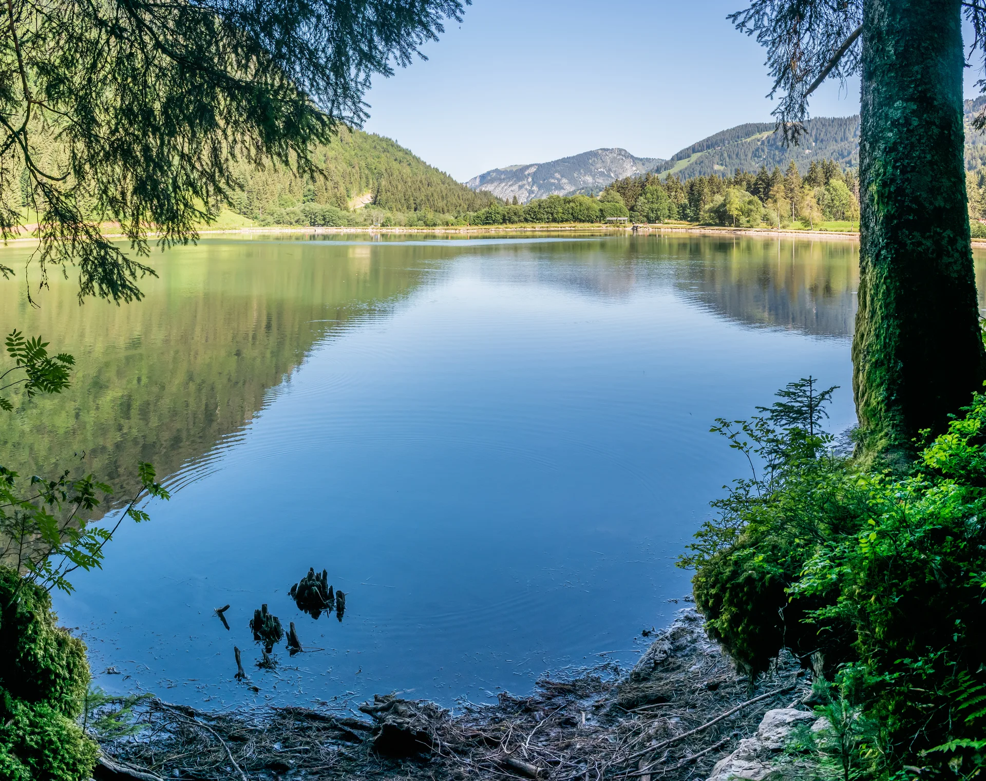 Lac des Plagnes à Abondance — Sur le lac