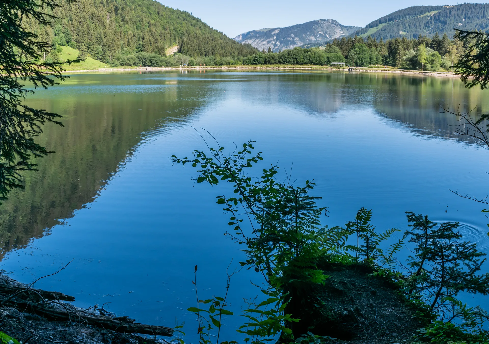 Lac des Plagnes à Abondance — Sur le lac