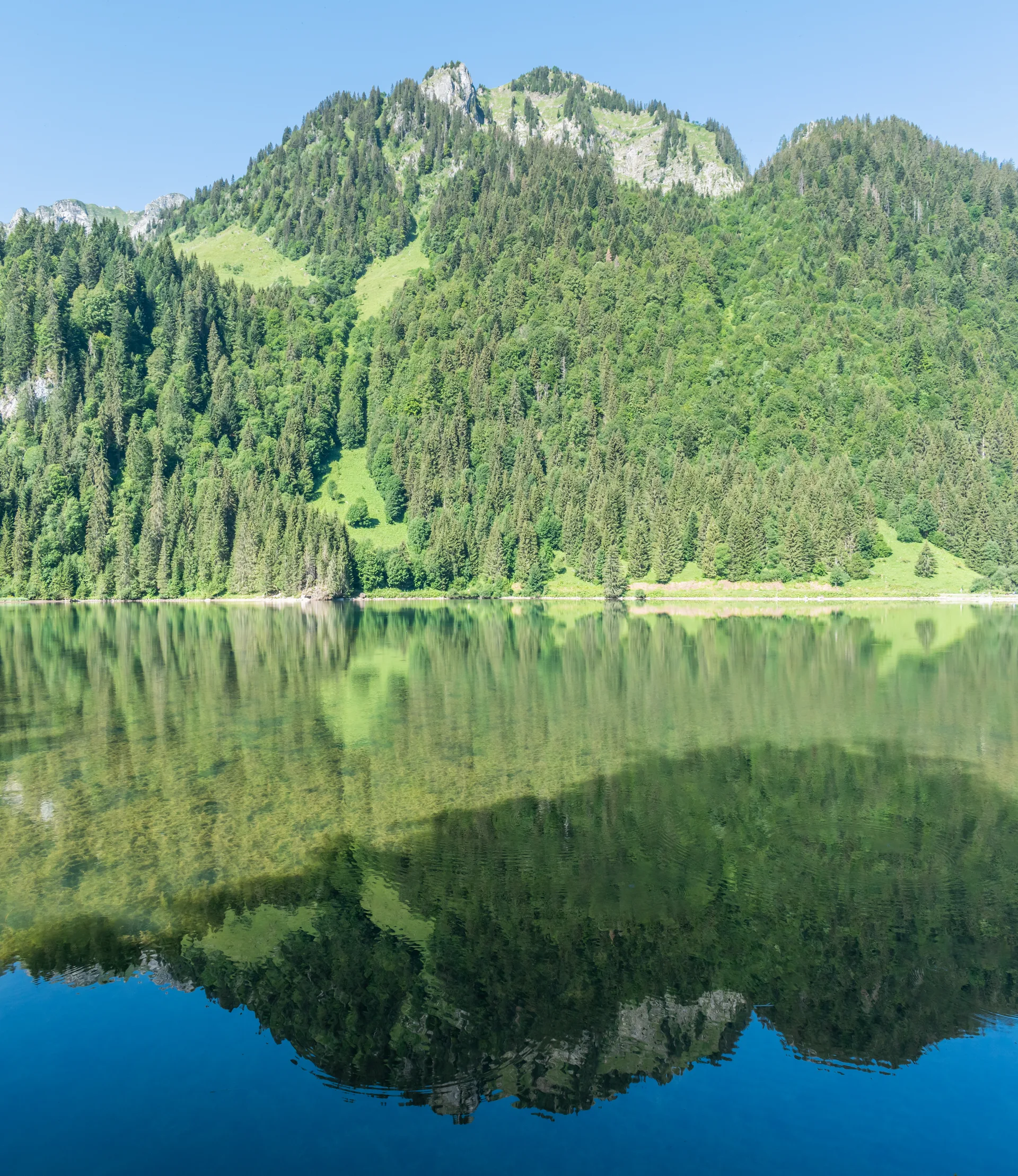 Lac des Plagnes à Abondance — Sur le lac
