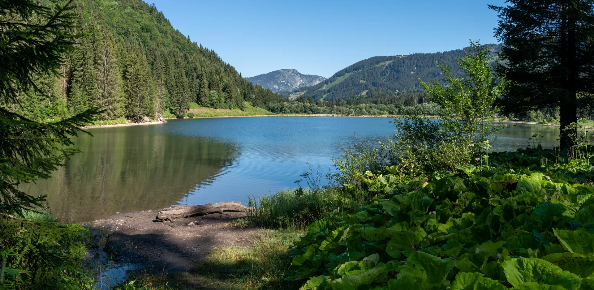 Lac des Plagnes à Abondance — À 284 m du lac