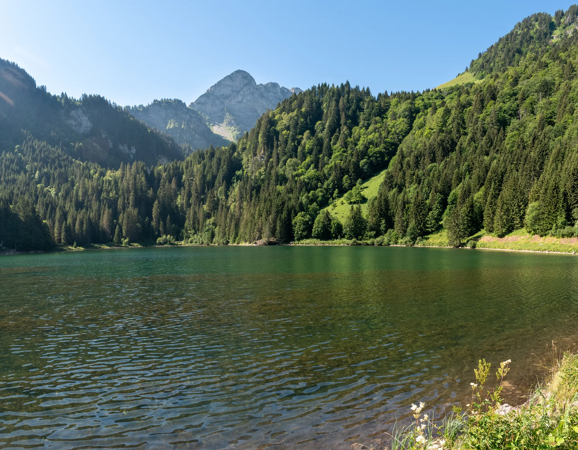 Lac des Plagnes à Abondance — À 300 m du lac