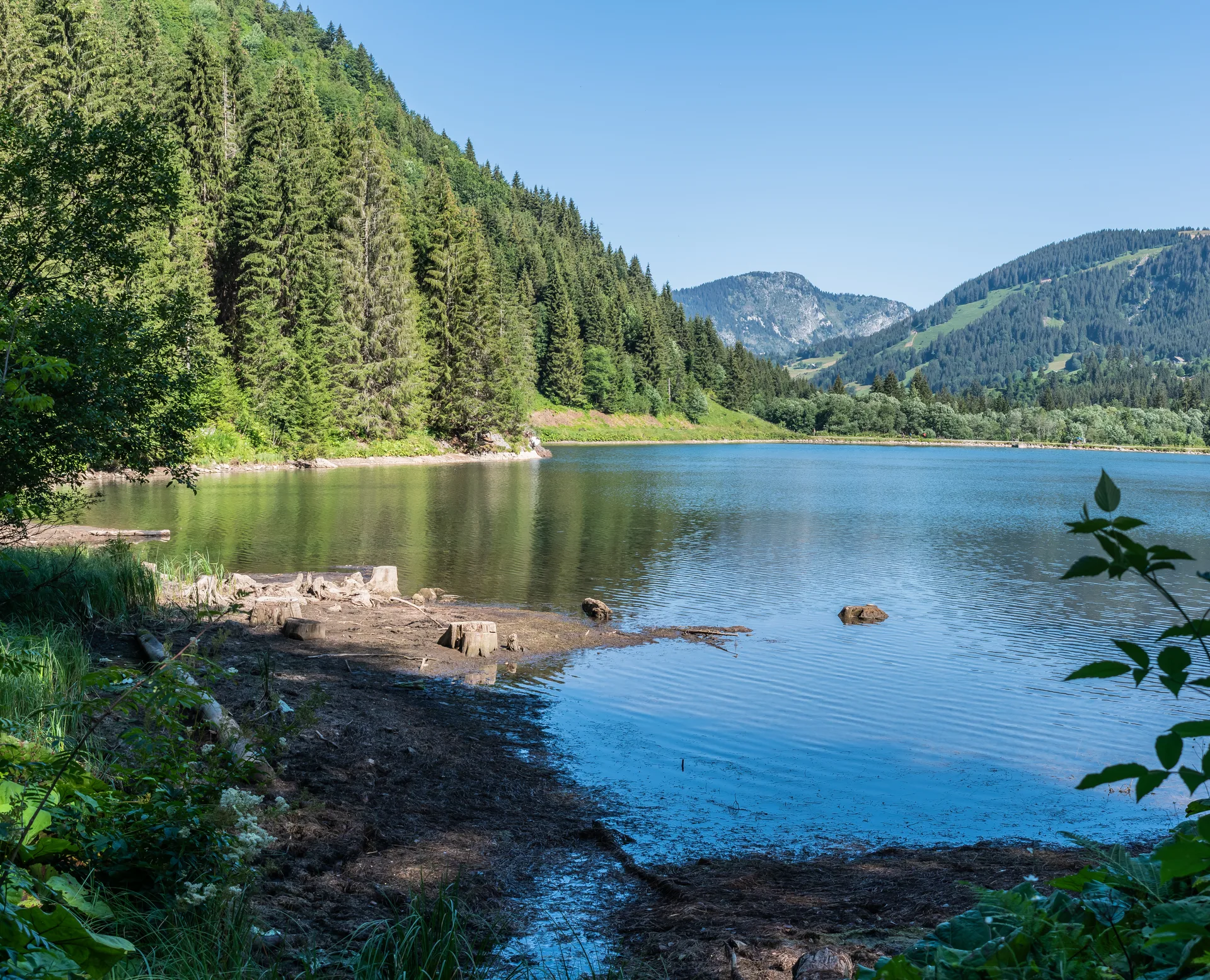 Lac des Plagnes à Abondance — À 303 m du lac
