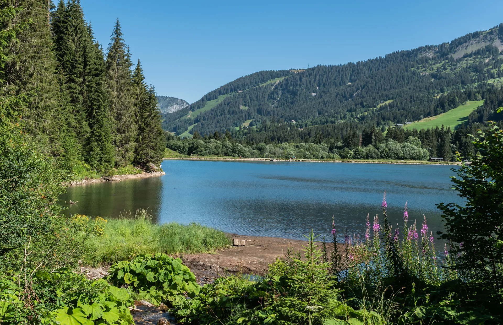 Lac des Plagnes à Abondance — À 346 m du lac