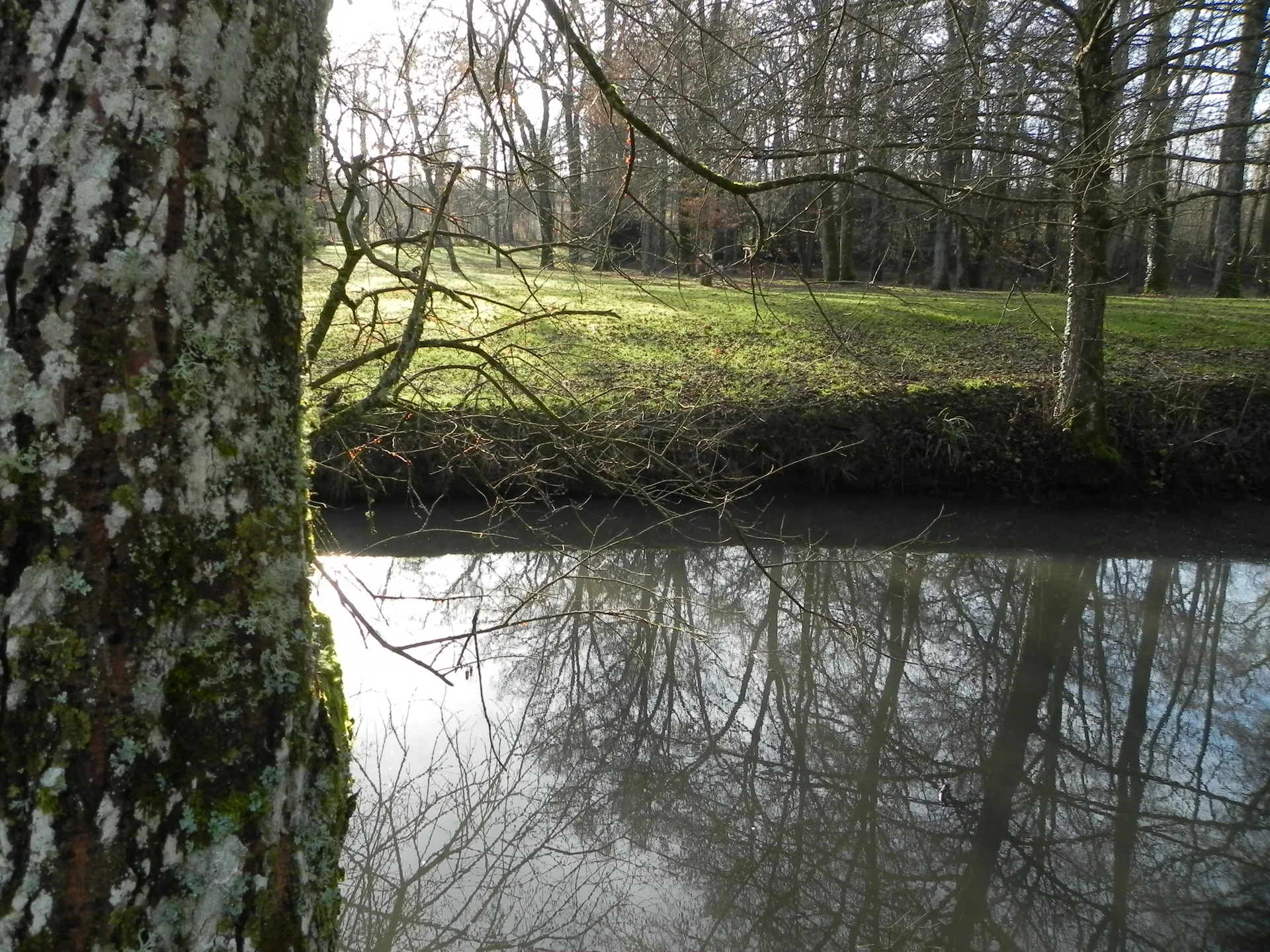 Lac des Recollets à Bulgnéville — À 2,9 km du lac