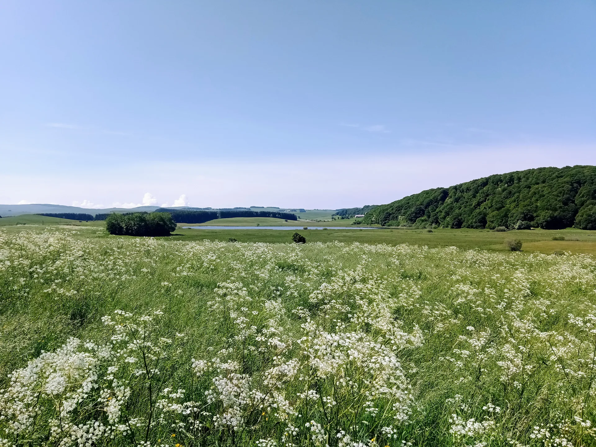 Lac des Salhiens à Nasbinals — À 811 m du lac