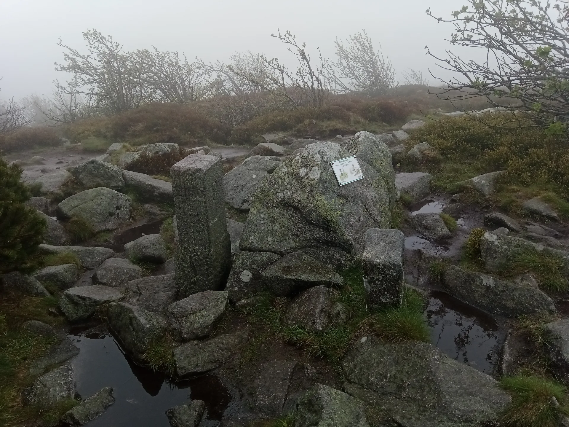 Lac des Truites ou lac du Forlet à Soultzeren — À 684 m du lac