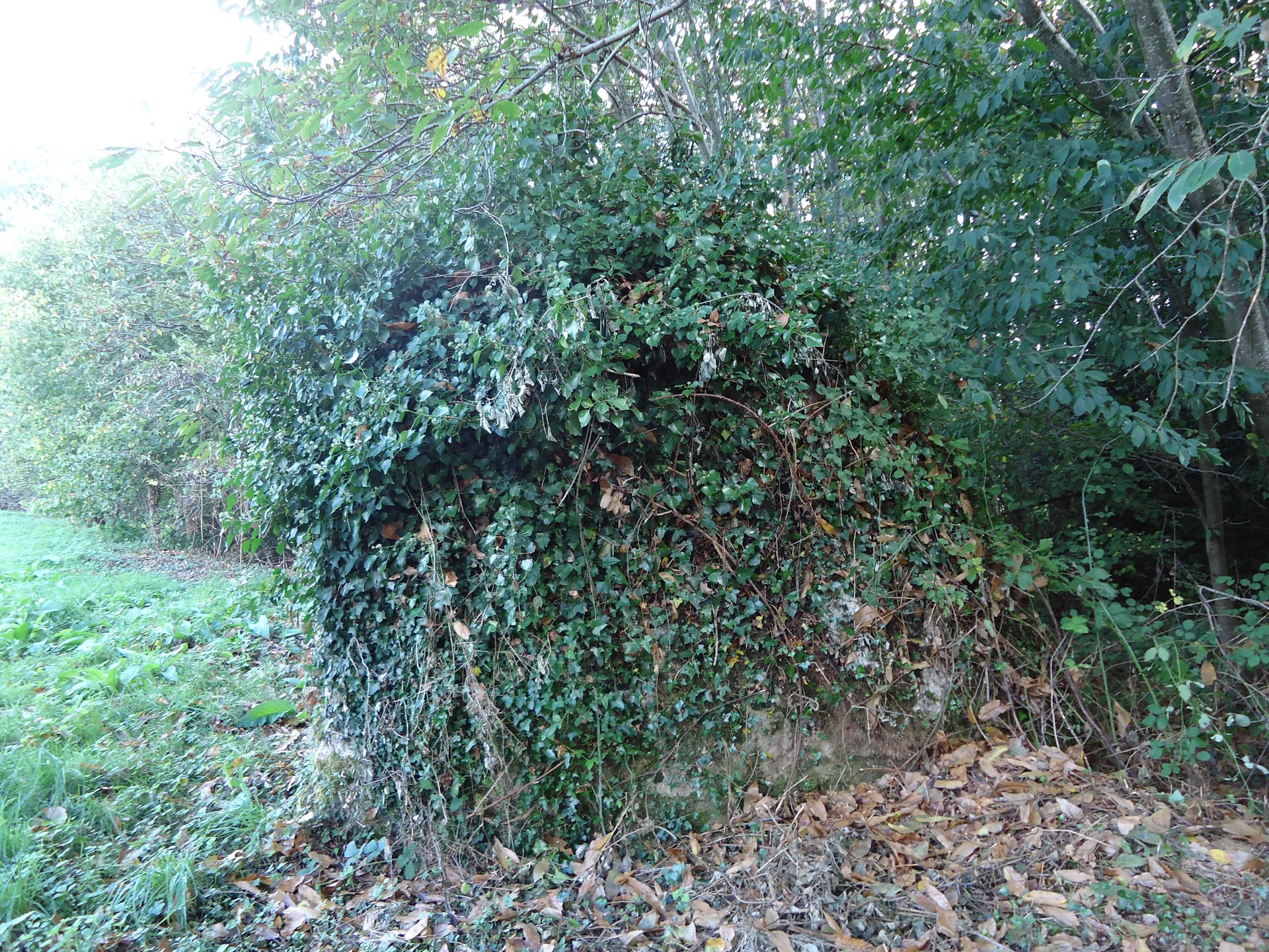 Lac des Varennes Marcon à Marçon — À 3,6 km du lac