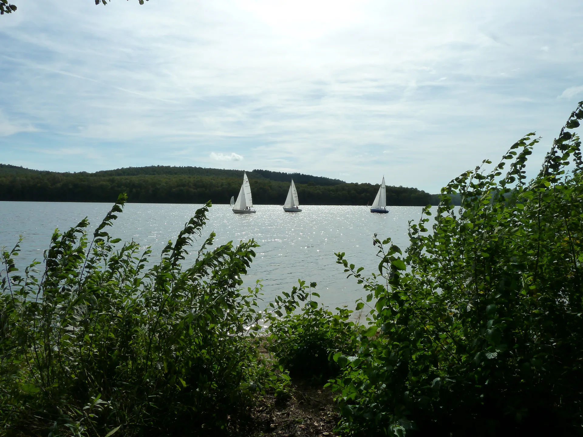 Lac des Vieilles Forges à Les Mazures — À 207 m du lac