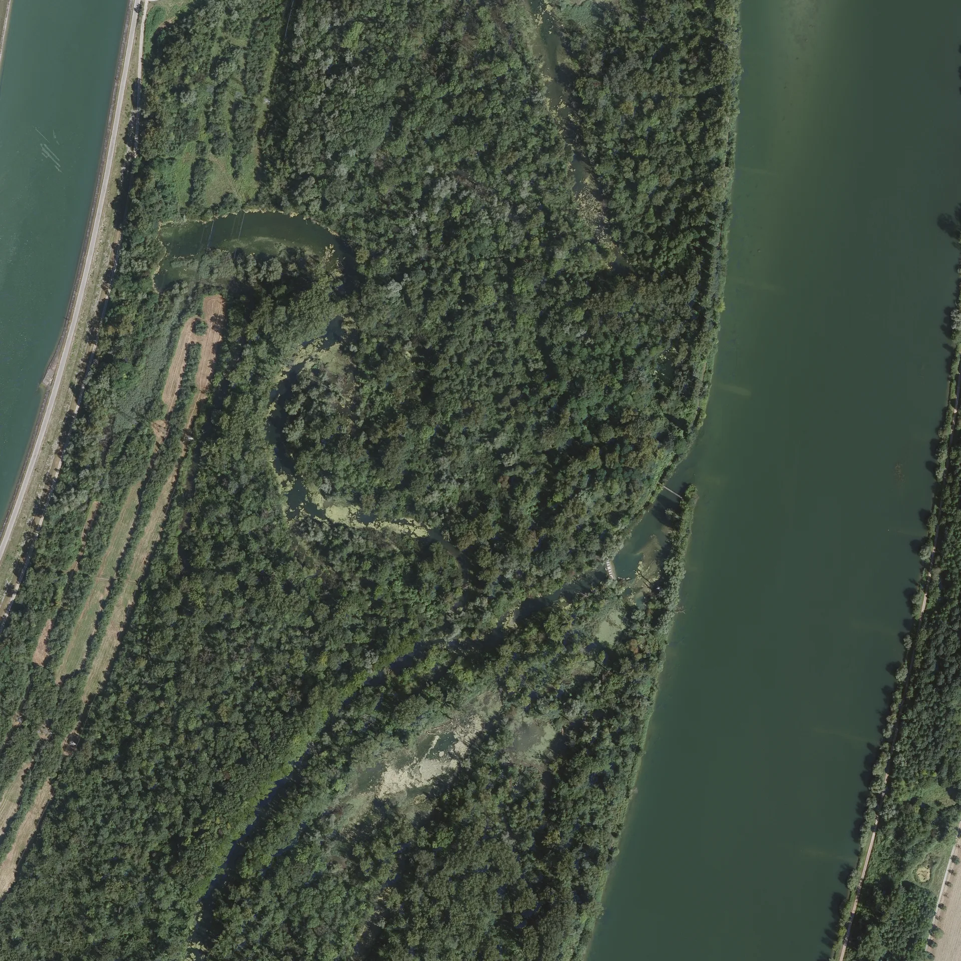 Lac du Baggersee à Strasbourg — À 1,5 km du lac