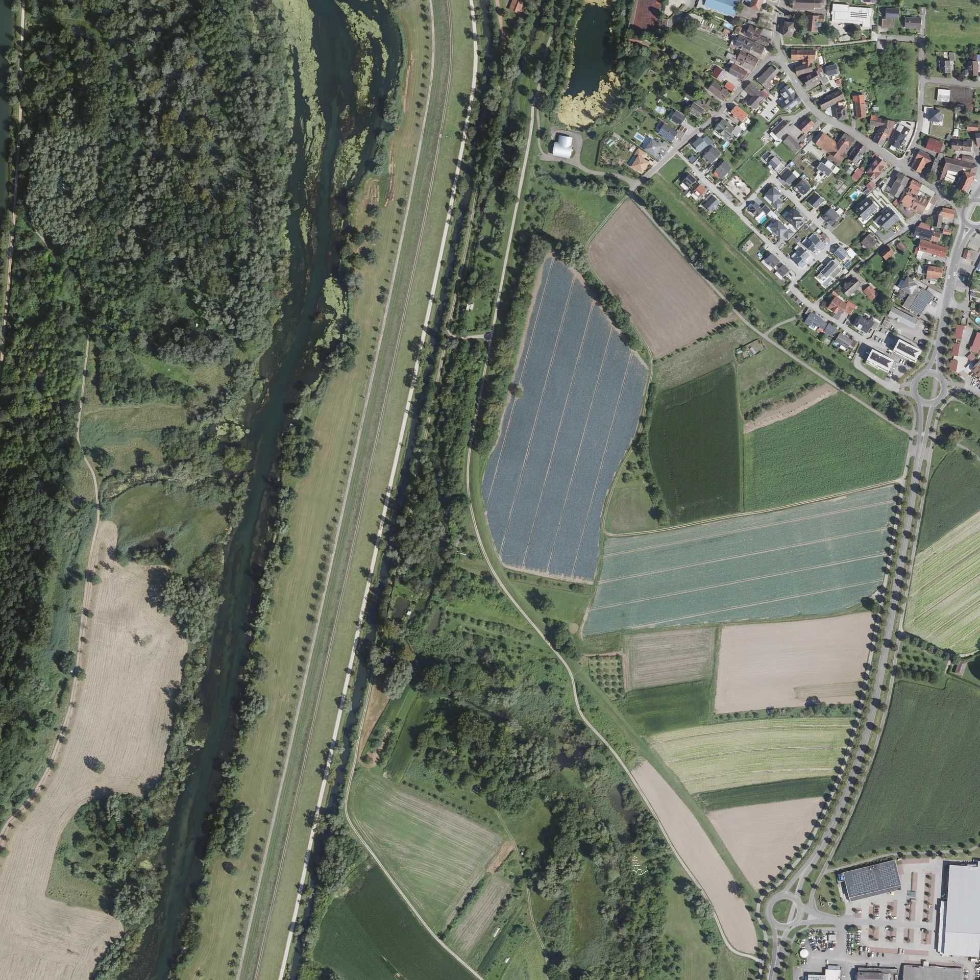 Lac du Baggersee à Strasbourg — À 1,8 km du lac