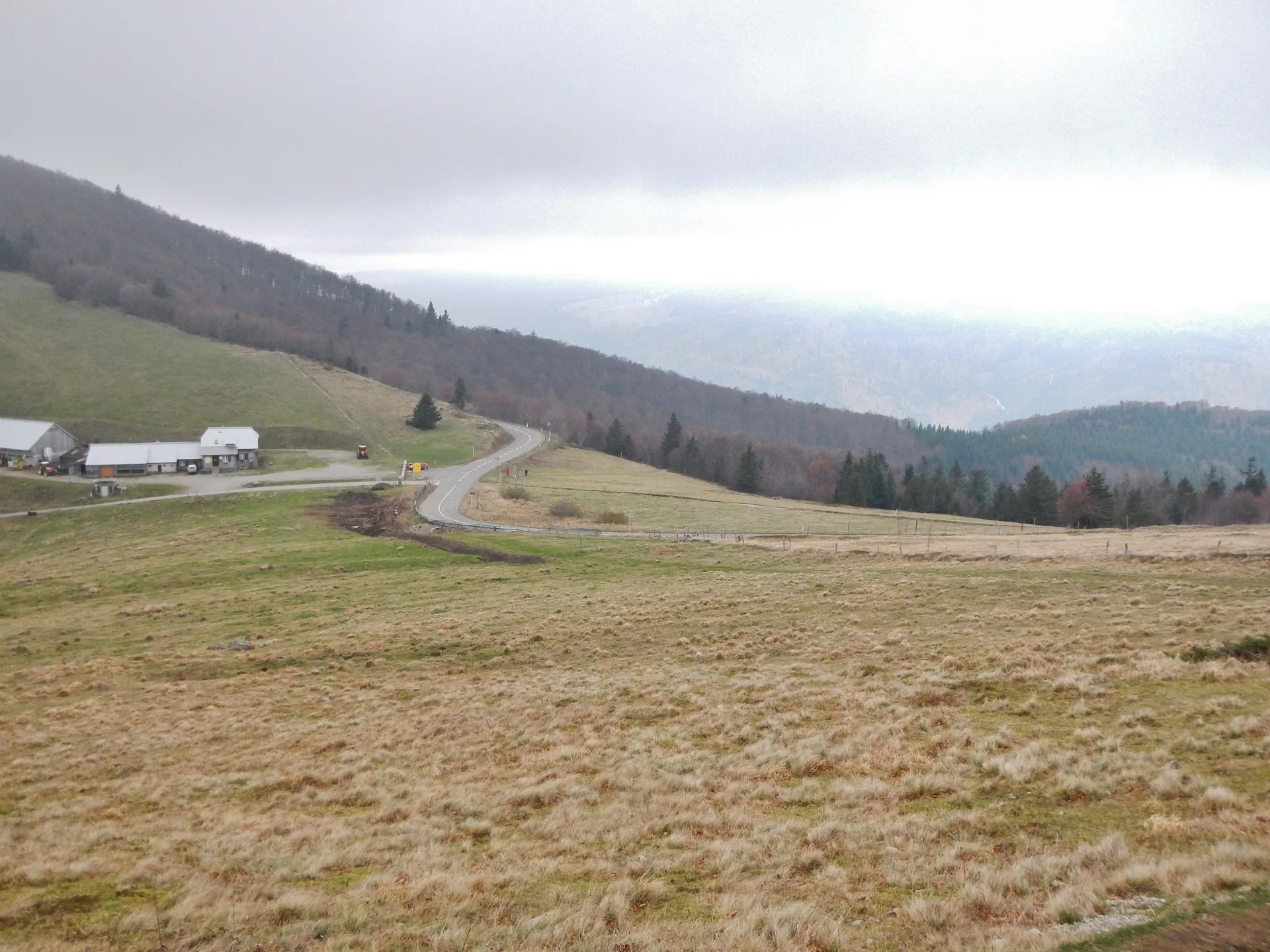Lac du Ballon à Lautenbachzell — À 1,1 km du lac