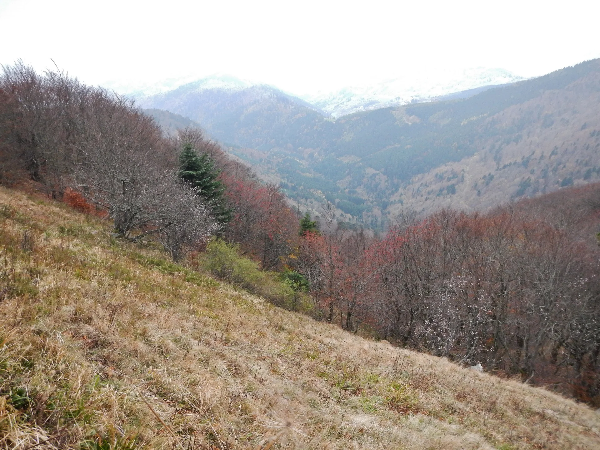 Lac du Ballon à Lautenbachzell — À 1,2 km du lac