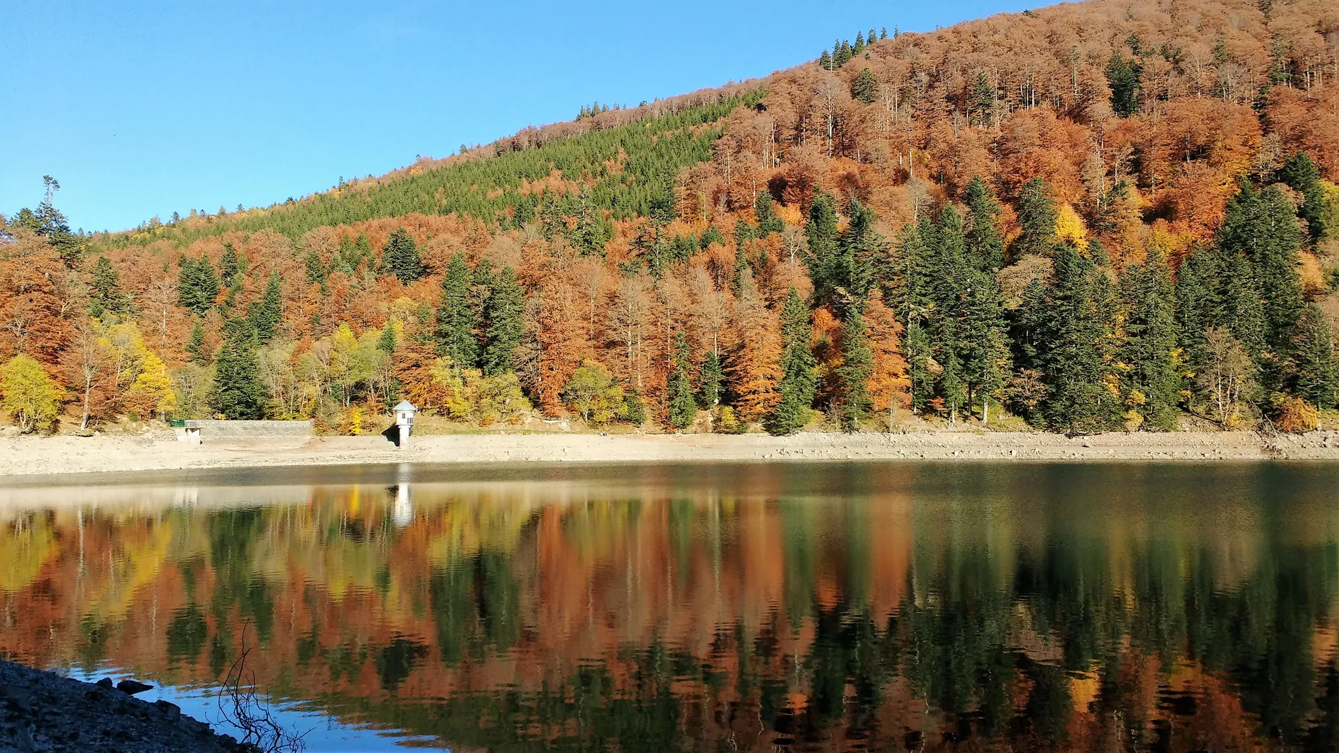 Lac du Ballon à Lautenbachzell — Sur le lac