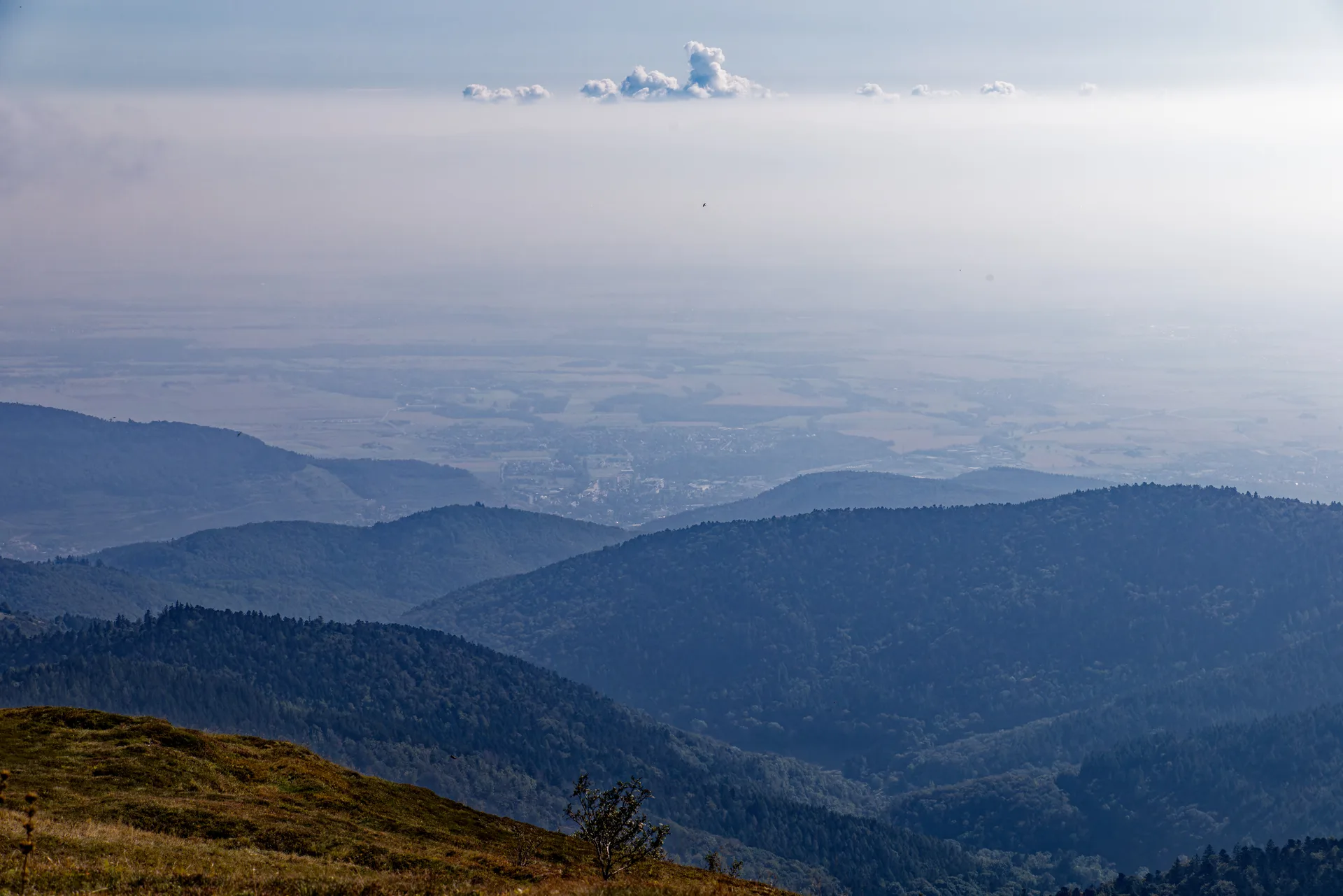 Lac du Ballon à Lautenbachzell — À 1,3 km du lac