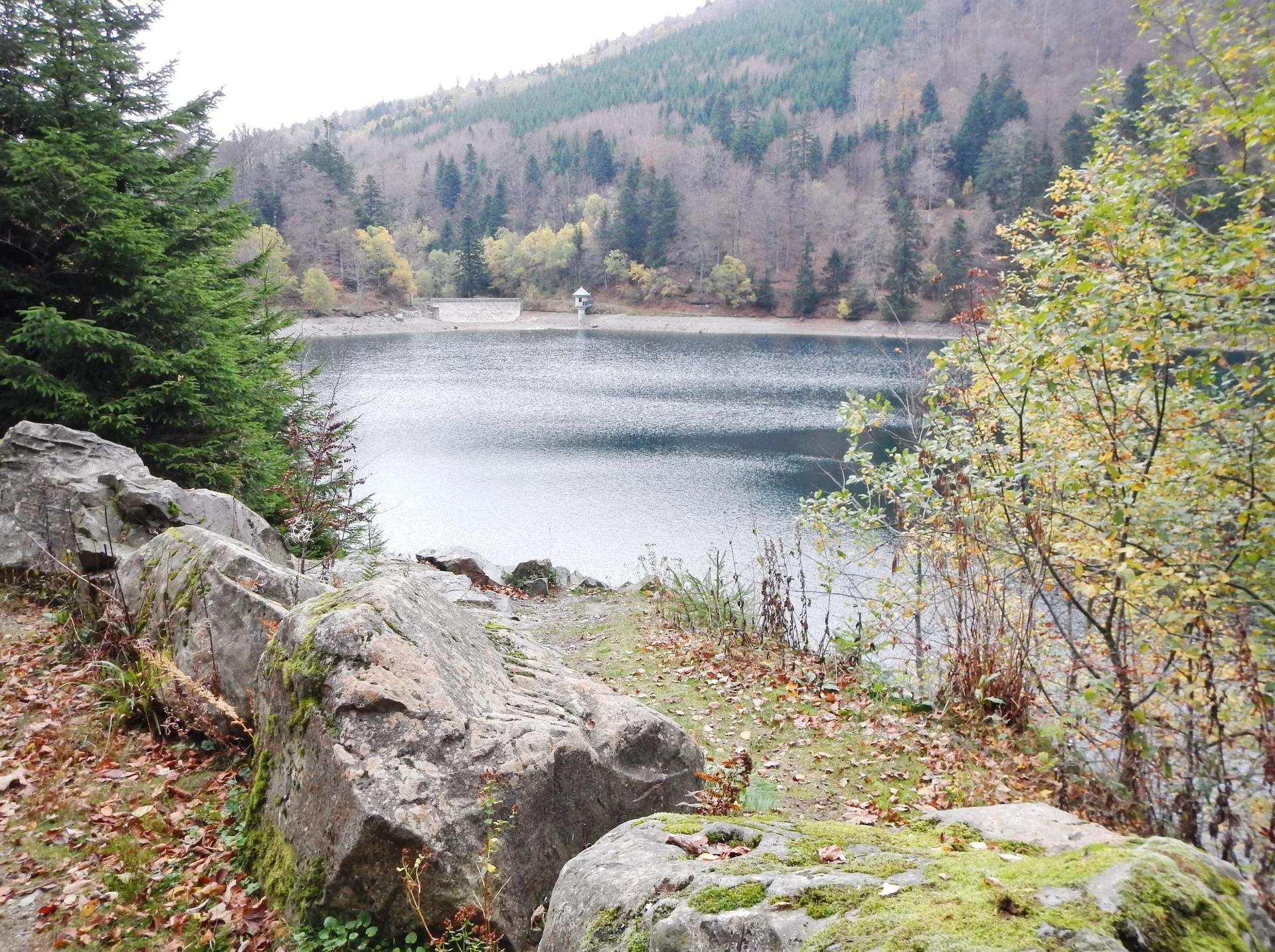 Lac du Ballon à Lautenbachzell — À 301 m du lac