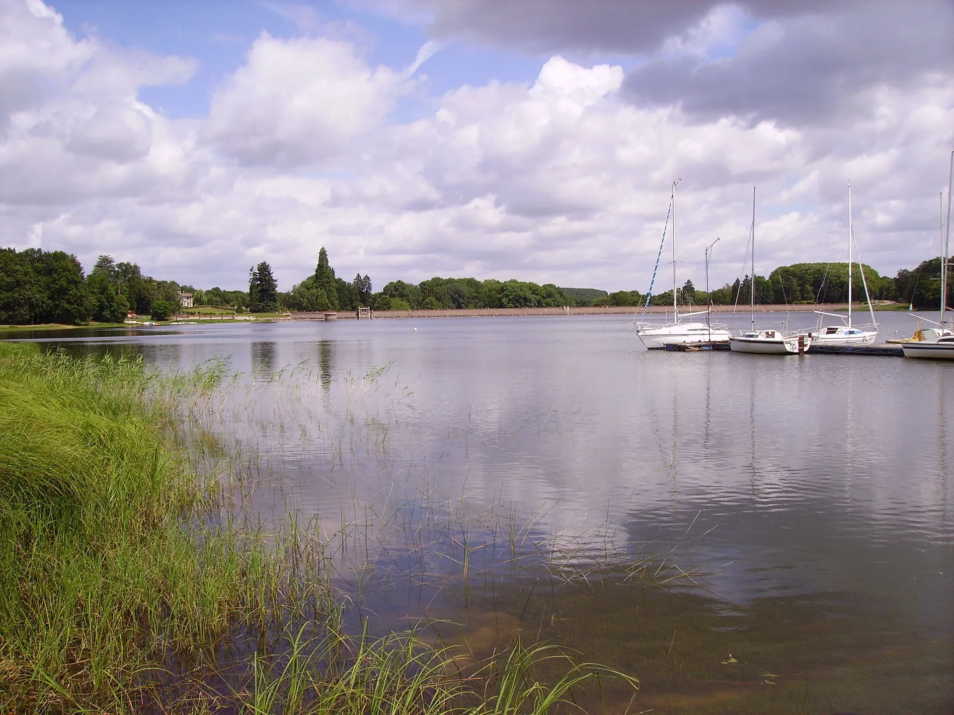 Lac du Bourdon à Saint-Fargeau — À 344 m du lac
