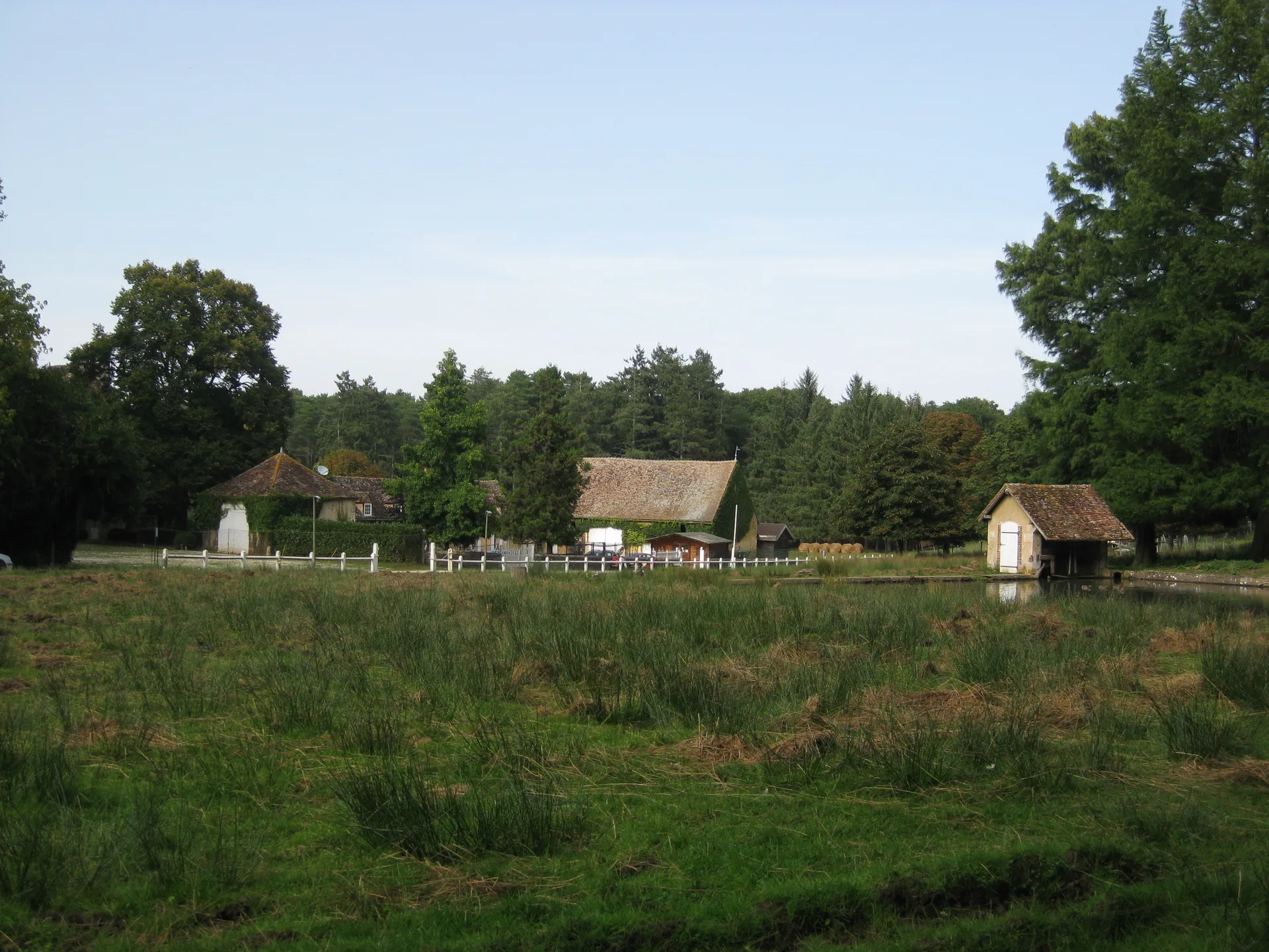 Lac du Bourdon à Saint-Fargeau — À 4,8 km du lac