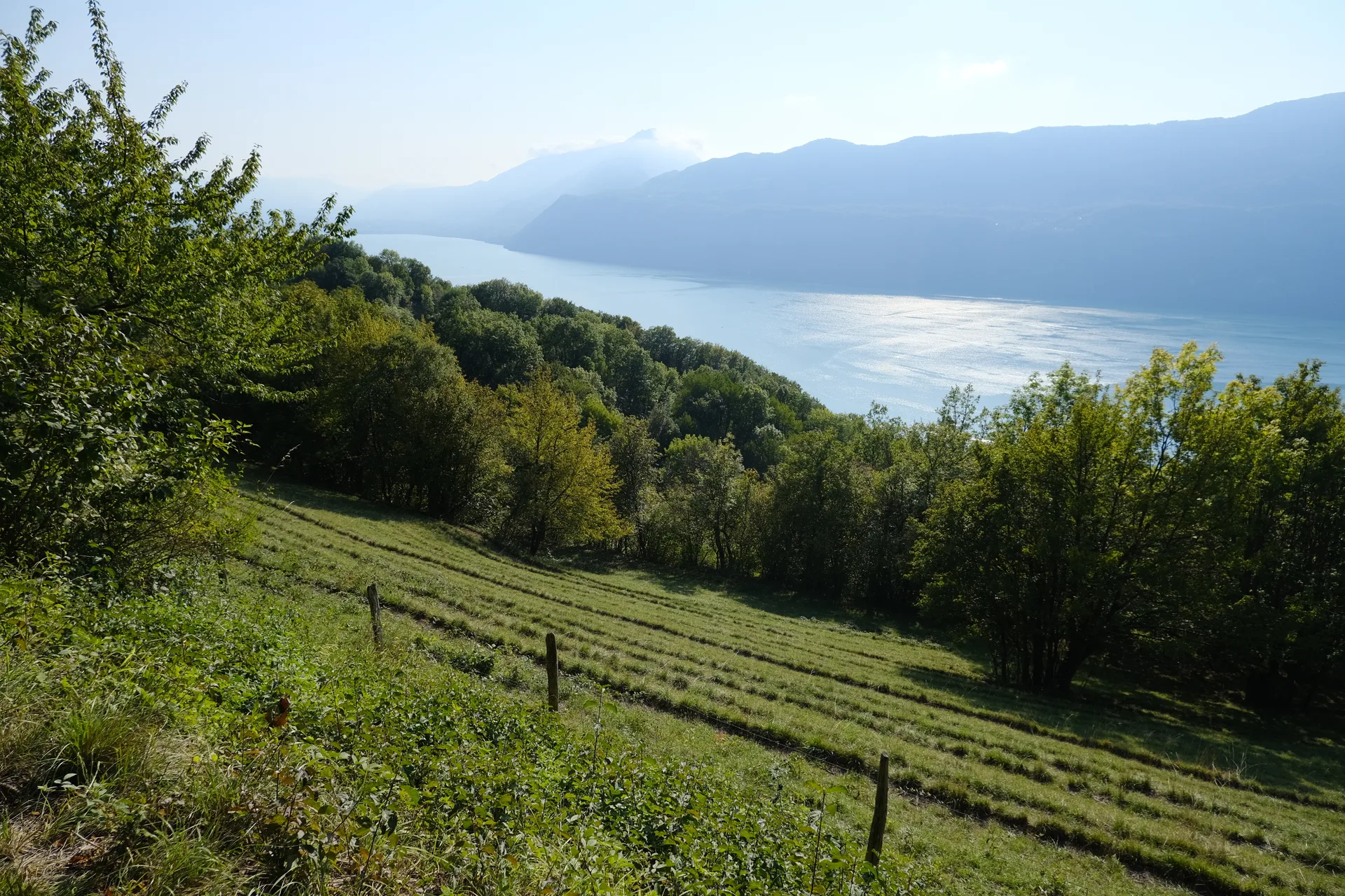 Lac du Bourget à Brison-Saint-Innocent — À 660 m du lac