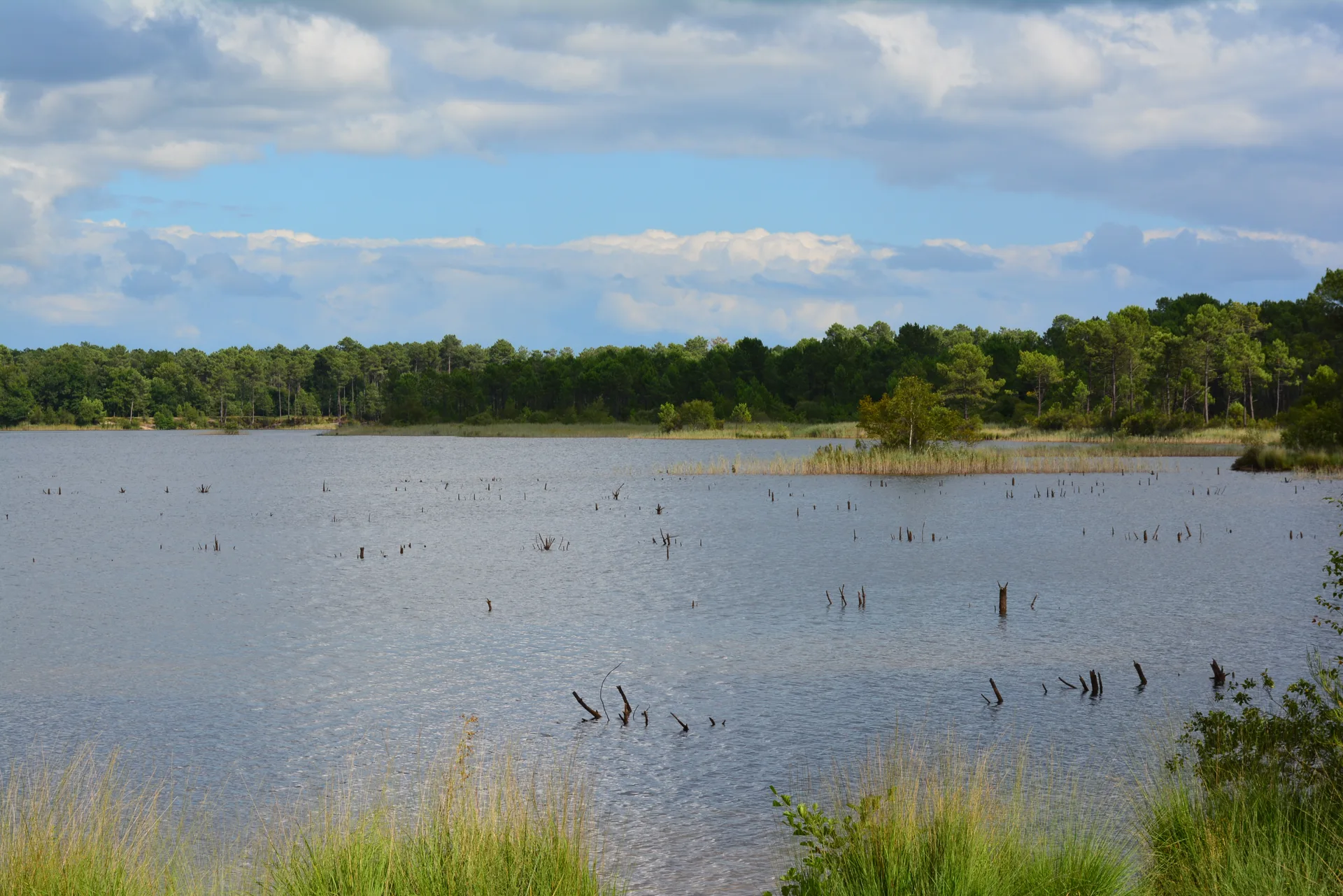 Lac du Bousquey à Hostens — À 461 m du lac