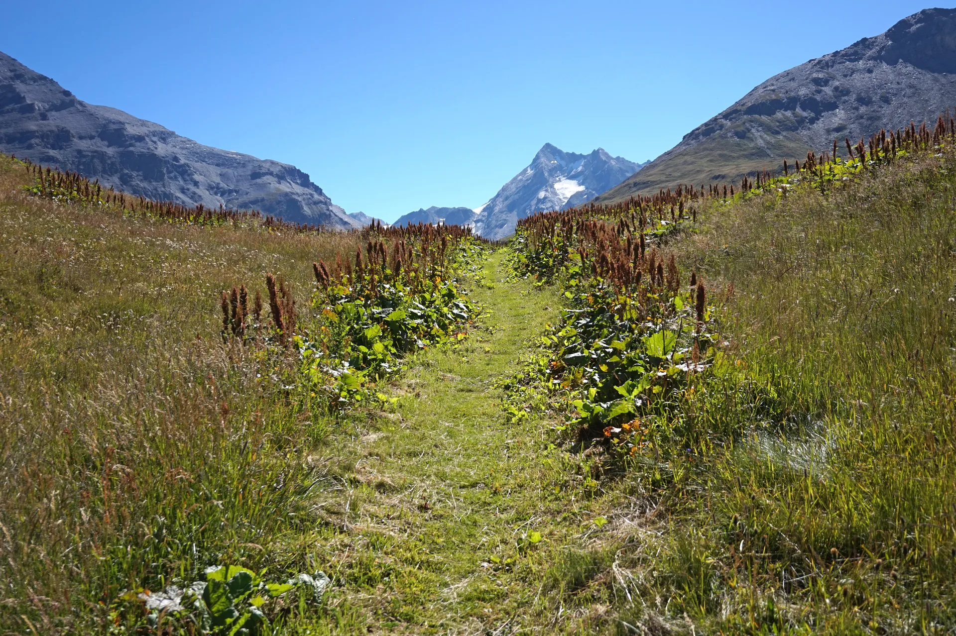 Lac du Chevril à Tignes — À 1,3 km du lac