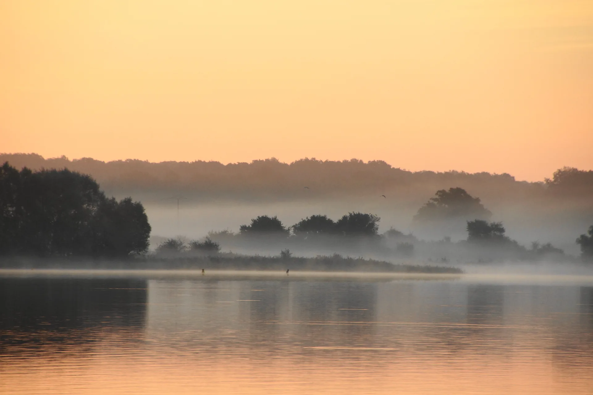 Lac du Der Chantecoq à Giffaumont-Champaubert — À 1,9 km du lac