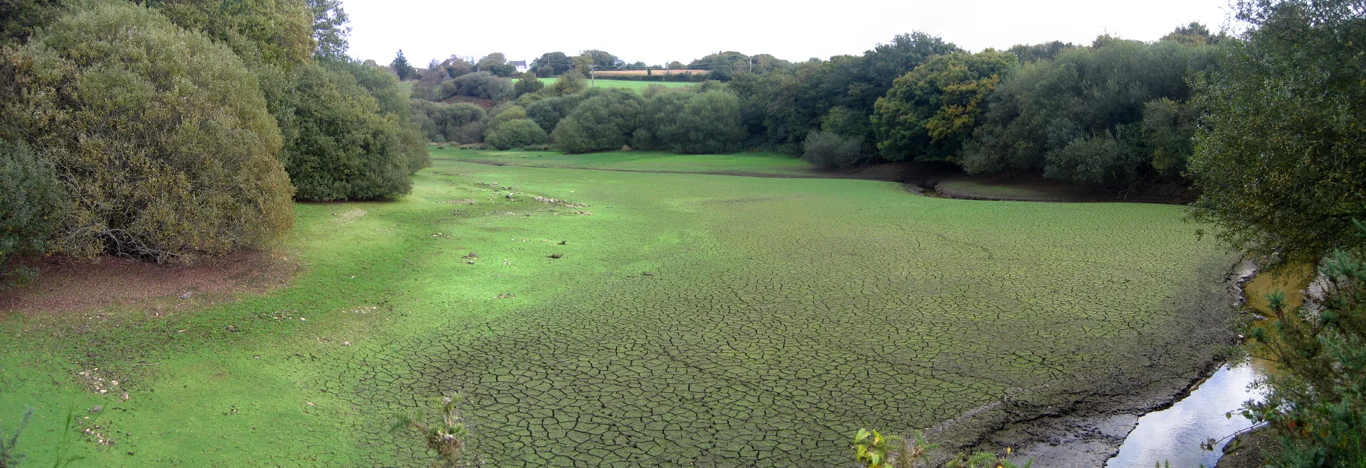 Lac du Drennec à Commana — À 352 m du lac