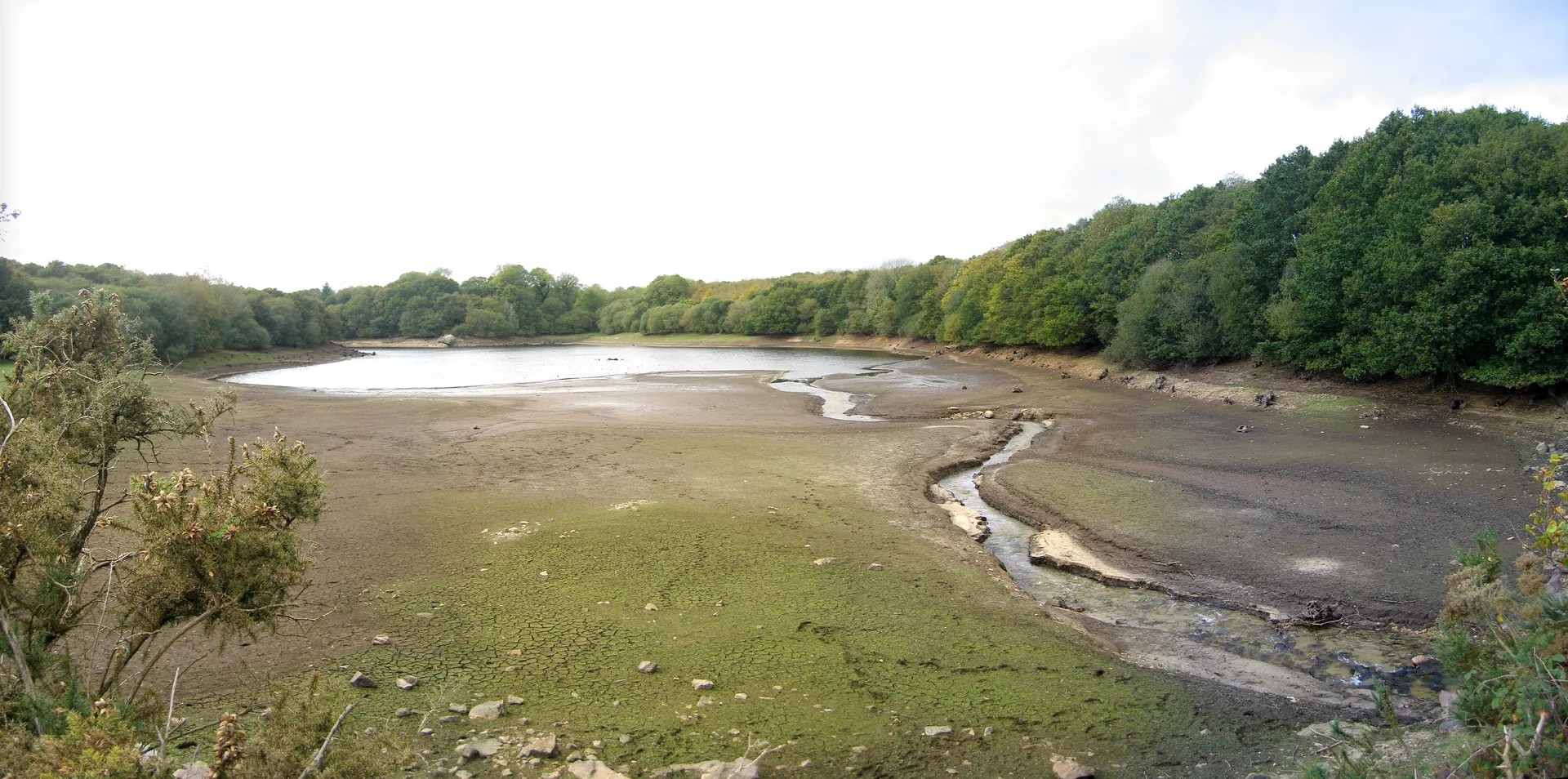 Lac du Drennec à Commana — À 363 m du lac