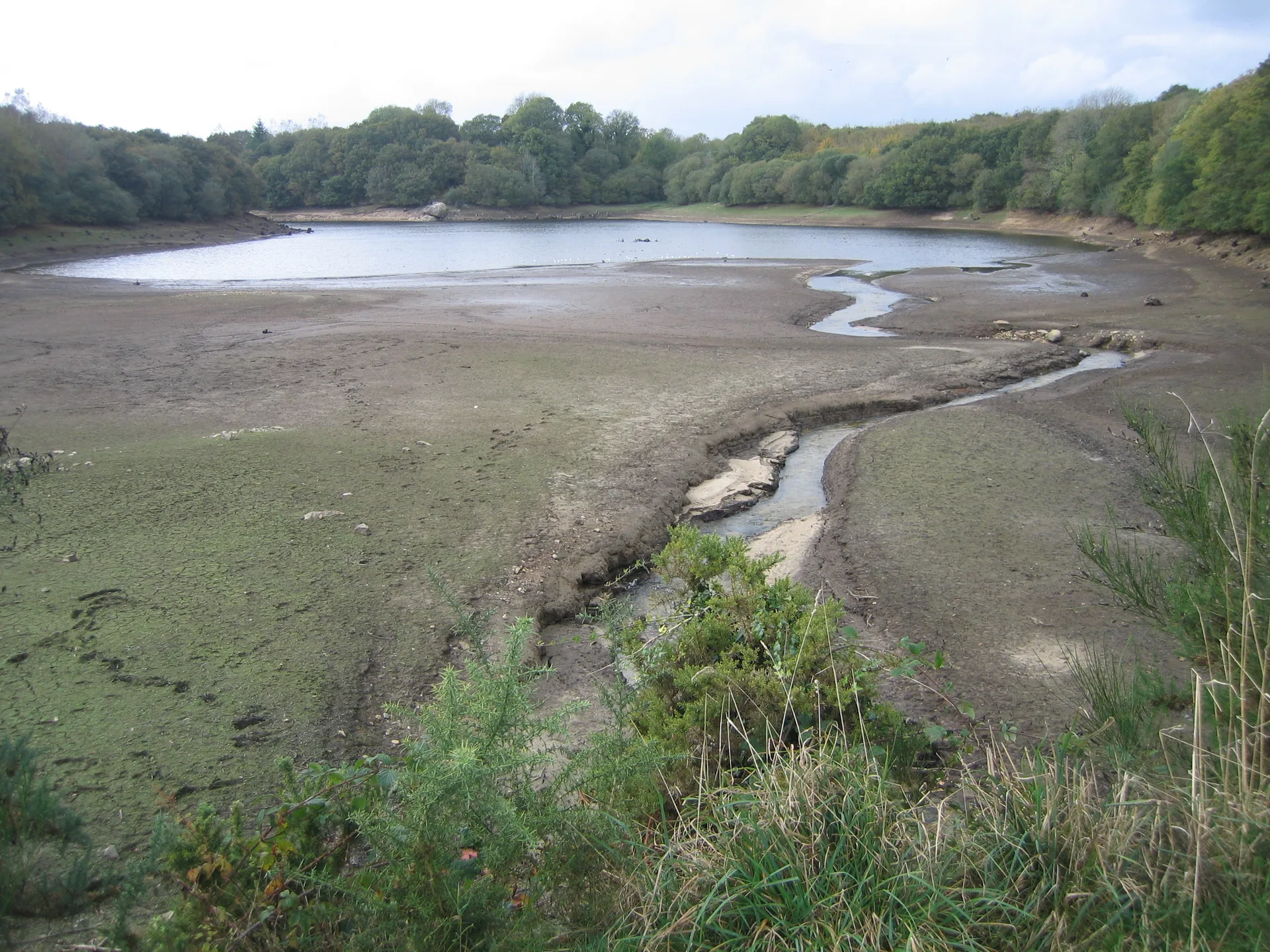 Lac du Drennec à Commana — À 363 m du lac