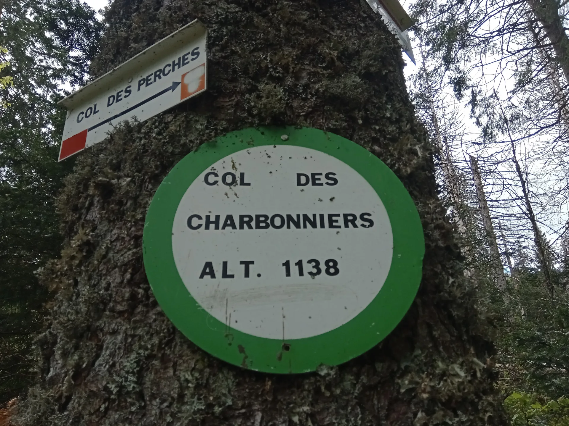 Lac du Grand Neuweiher à Rimbach-près-Masevaux — À 845 m du lac