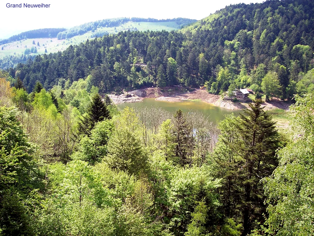 Lac du Grand Neuweiher, Rimbach-près-Masevaux