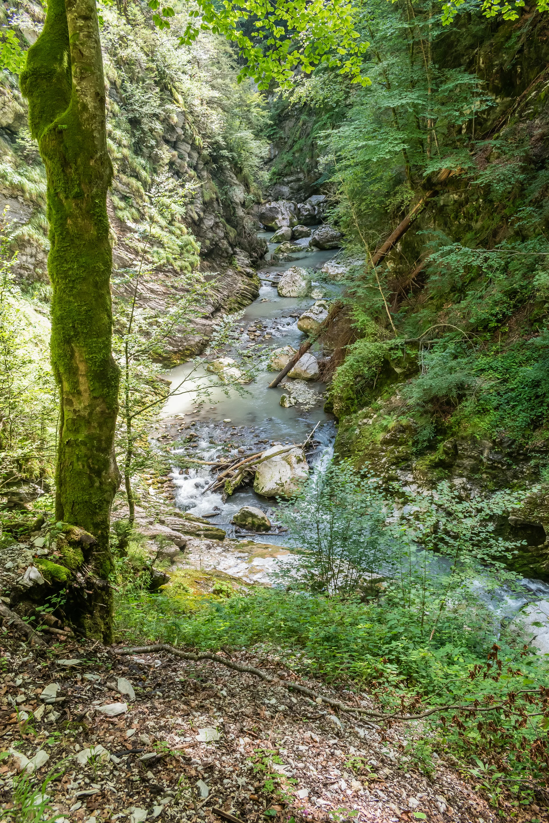 Lac du Jotty à La Baume — À 603 m du lac