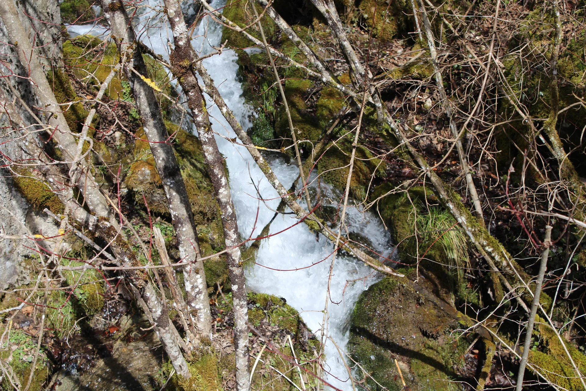 Lac du Jotty à La Baume — Sur le lac
